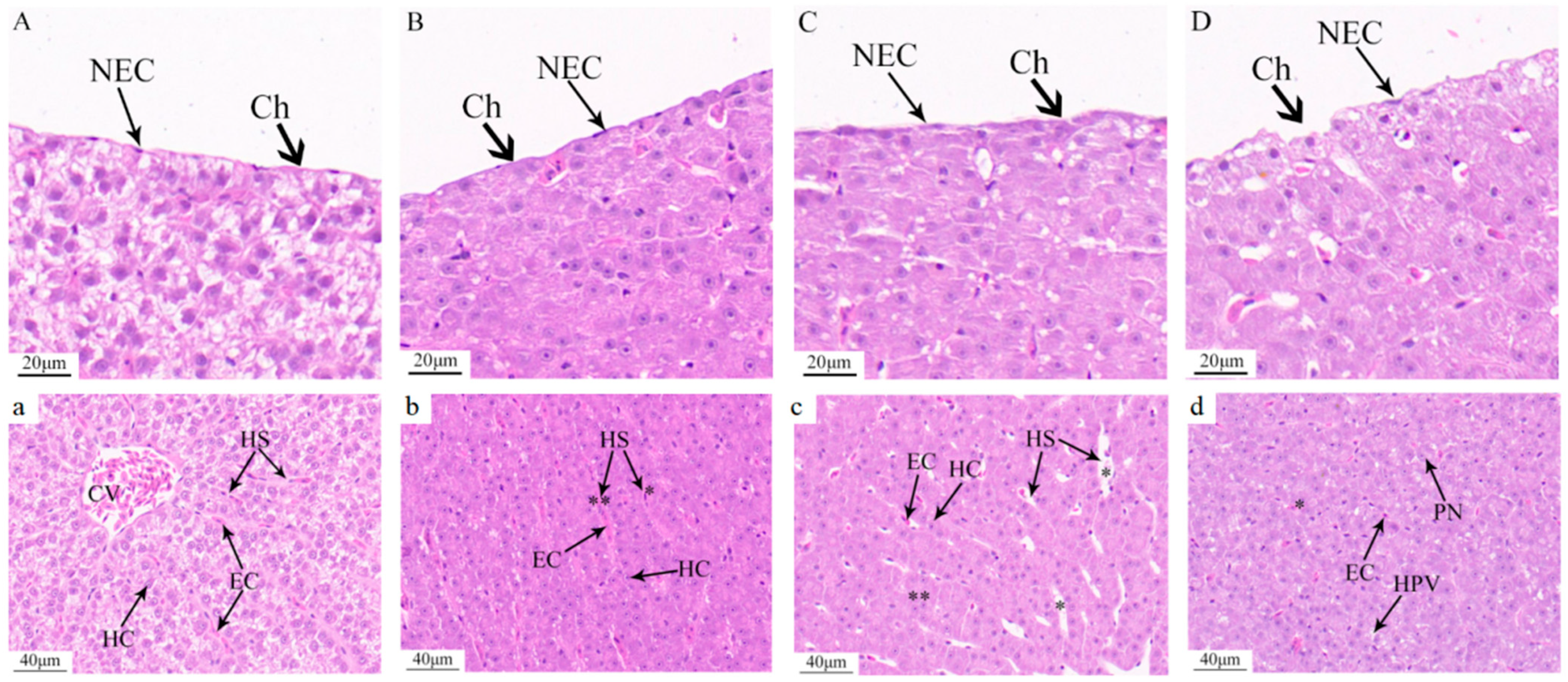 Antioxidants 14 01318 g006