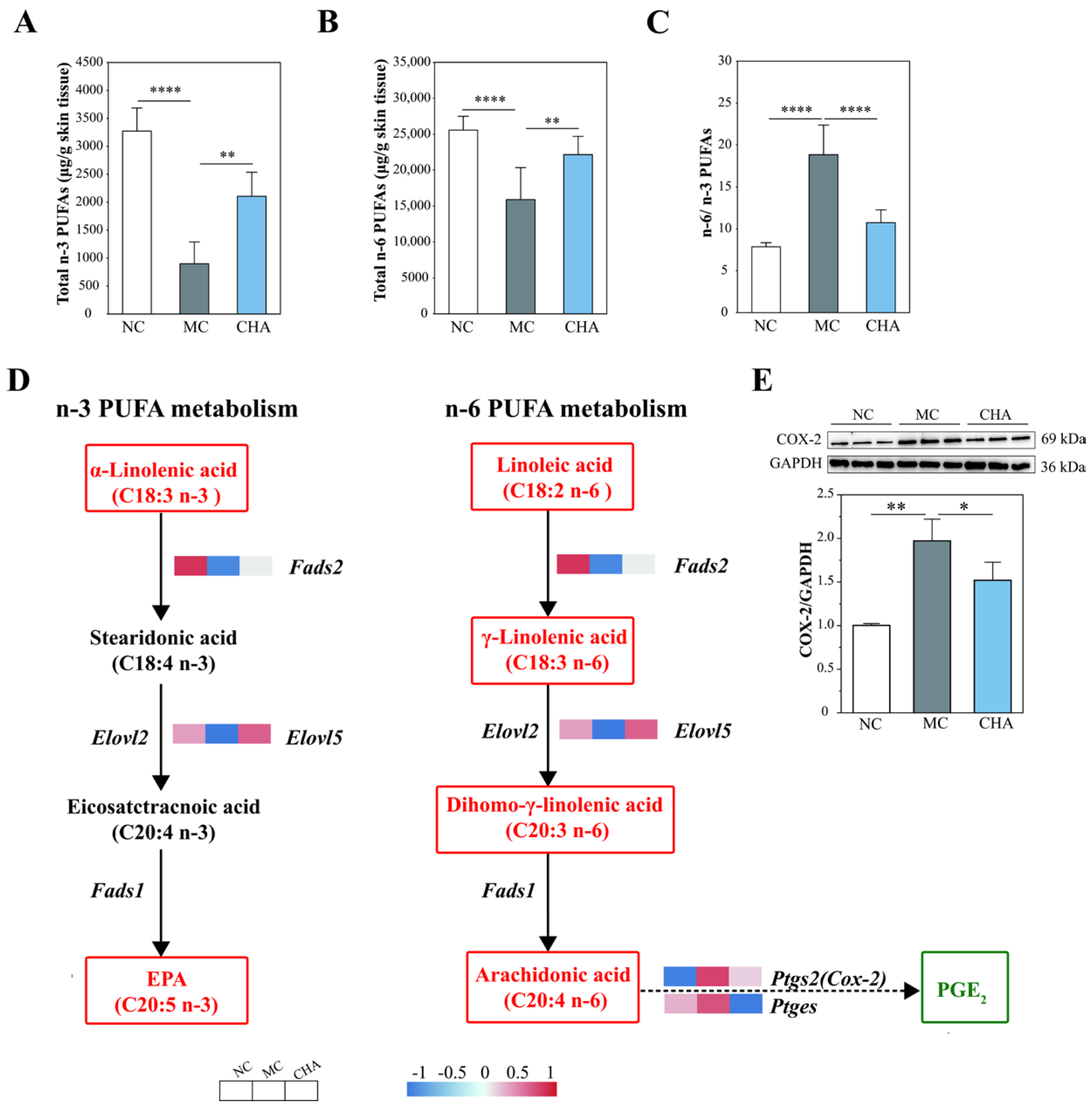 Antioxidants 14 01320 g006