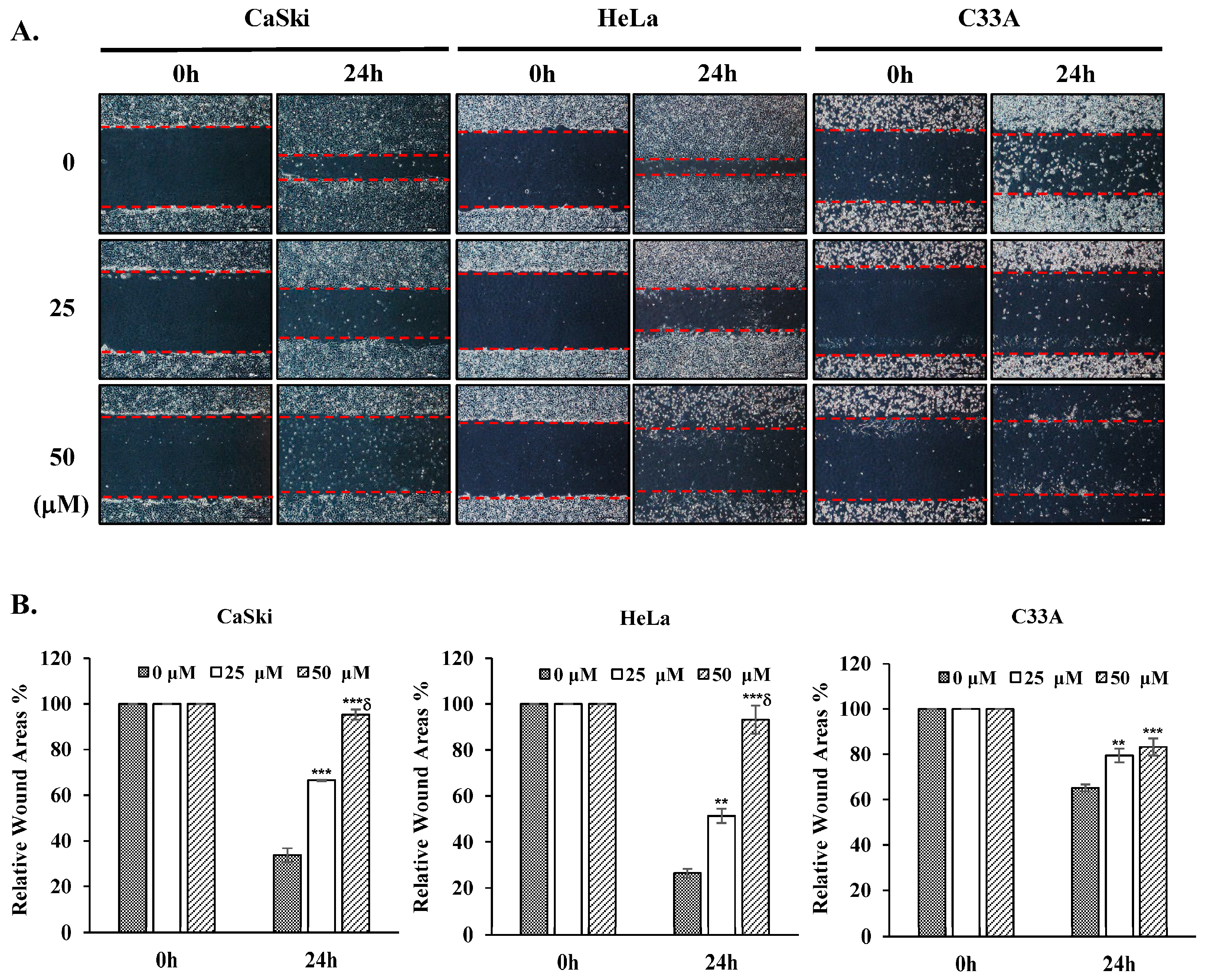 Antioxidants 14 01324 g004 Antioxidants 14 01324 g004