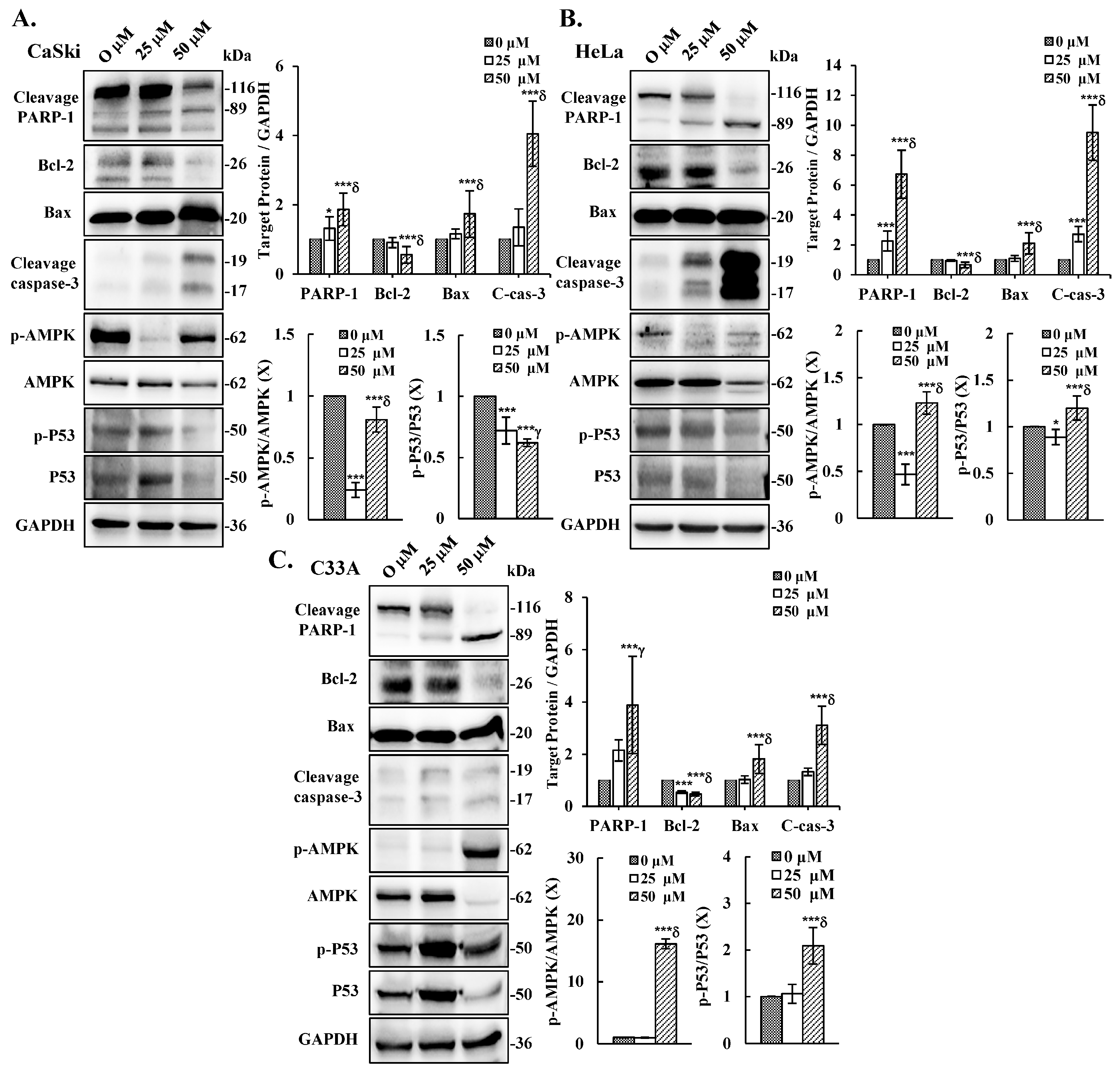 Antioxidants 14 01324 g006 Antioxidants 14 01324 g006