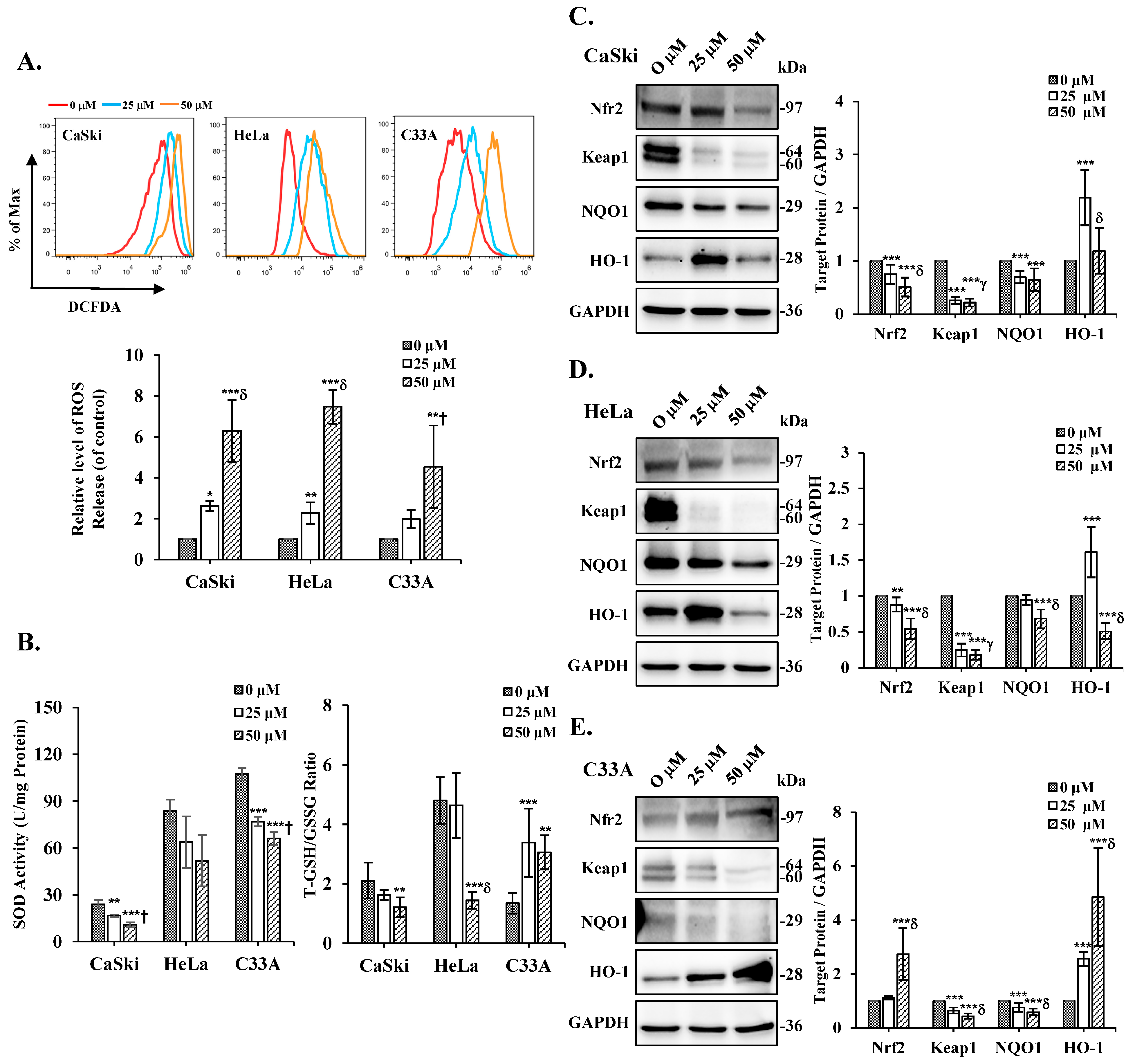 Antioxidants 14 01324 g007 Antioxidants 14 01324 g007