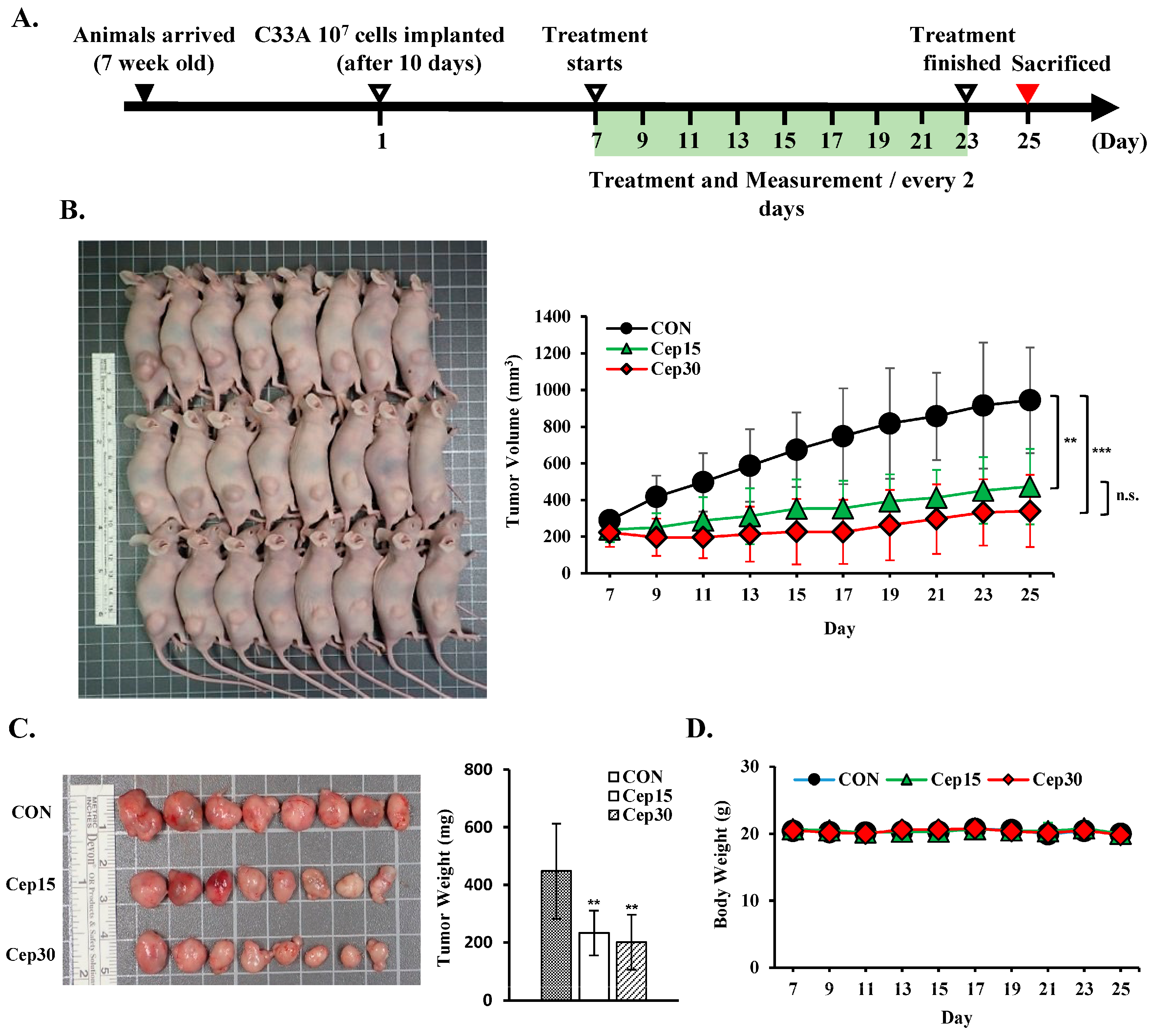 Antioxidants 14 01324 g009 Antioxidants 14 01324 g009