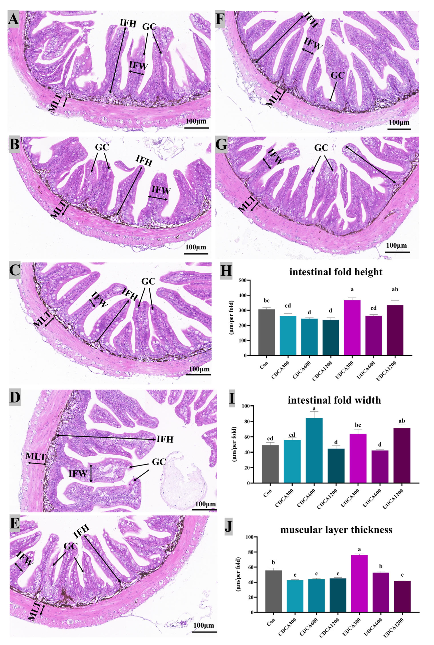 Antioxidants 14 01325 g006