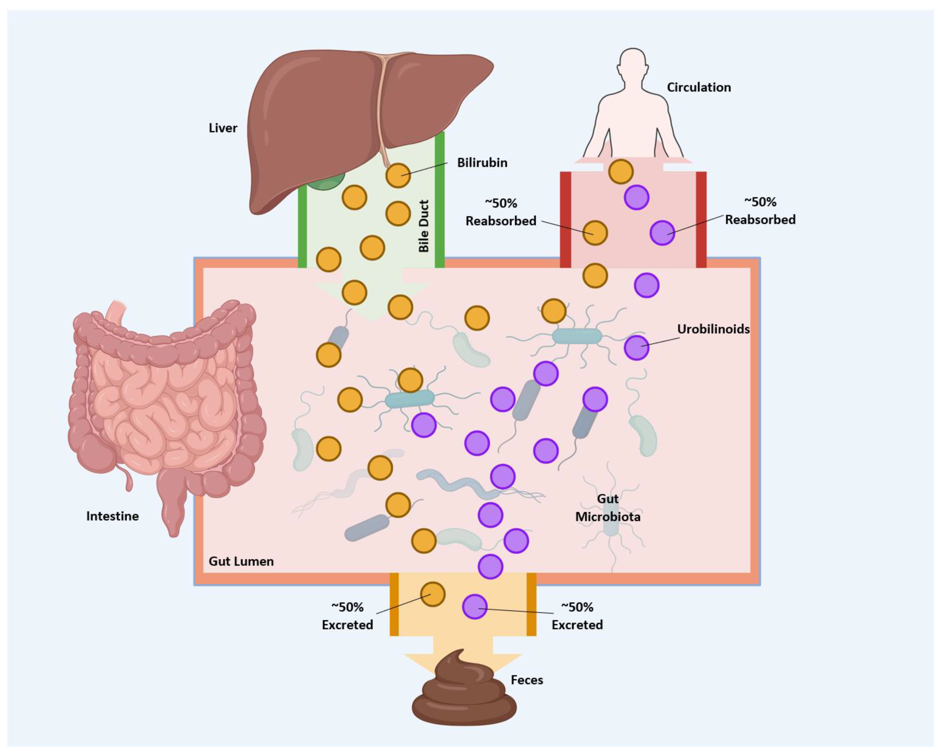 Antioxidants 14 01326 g006