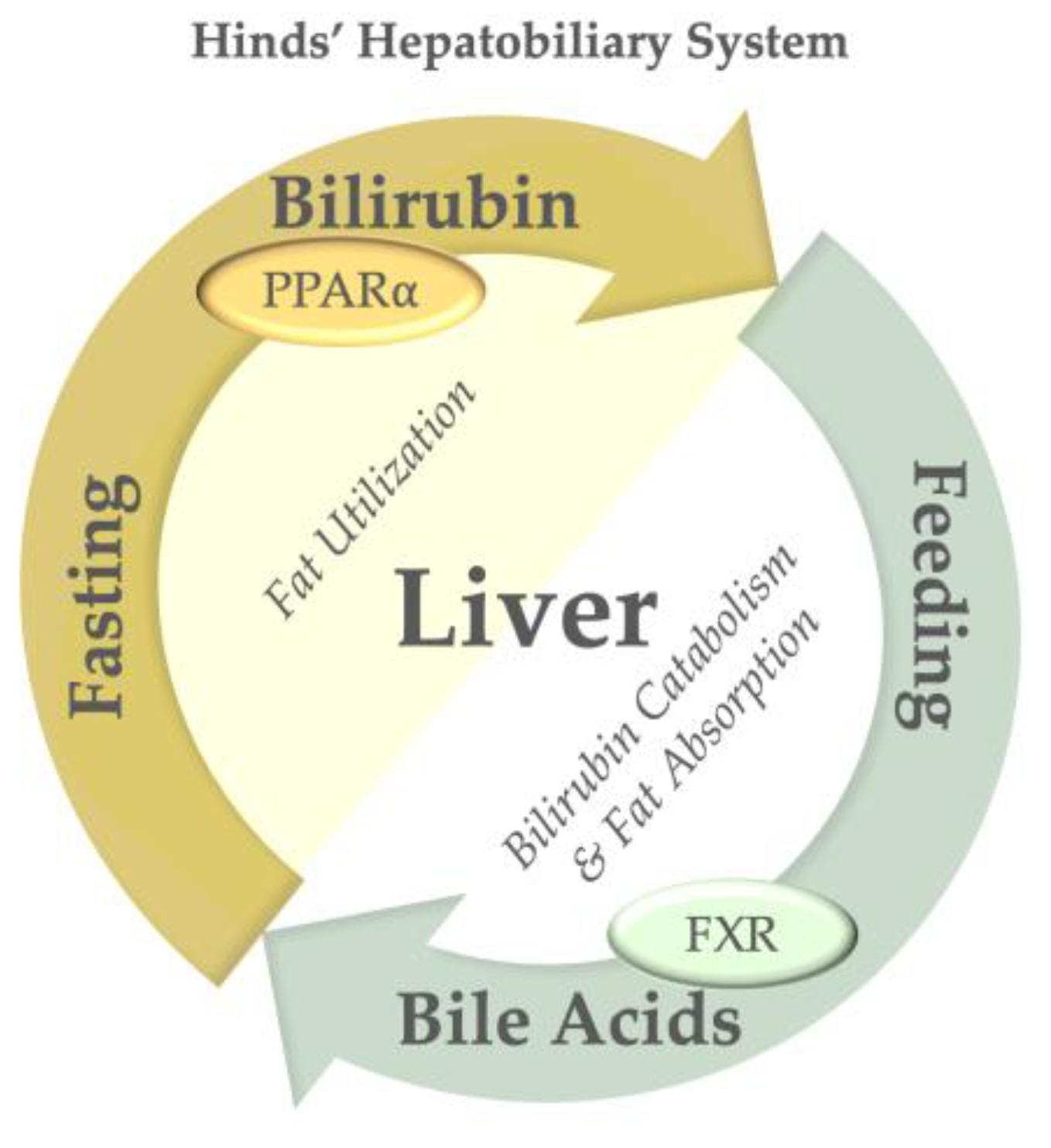 Antioxidants 14 01326 g007