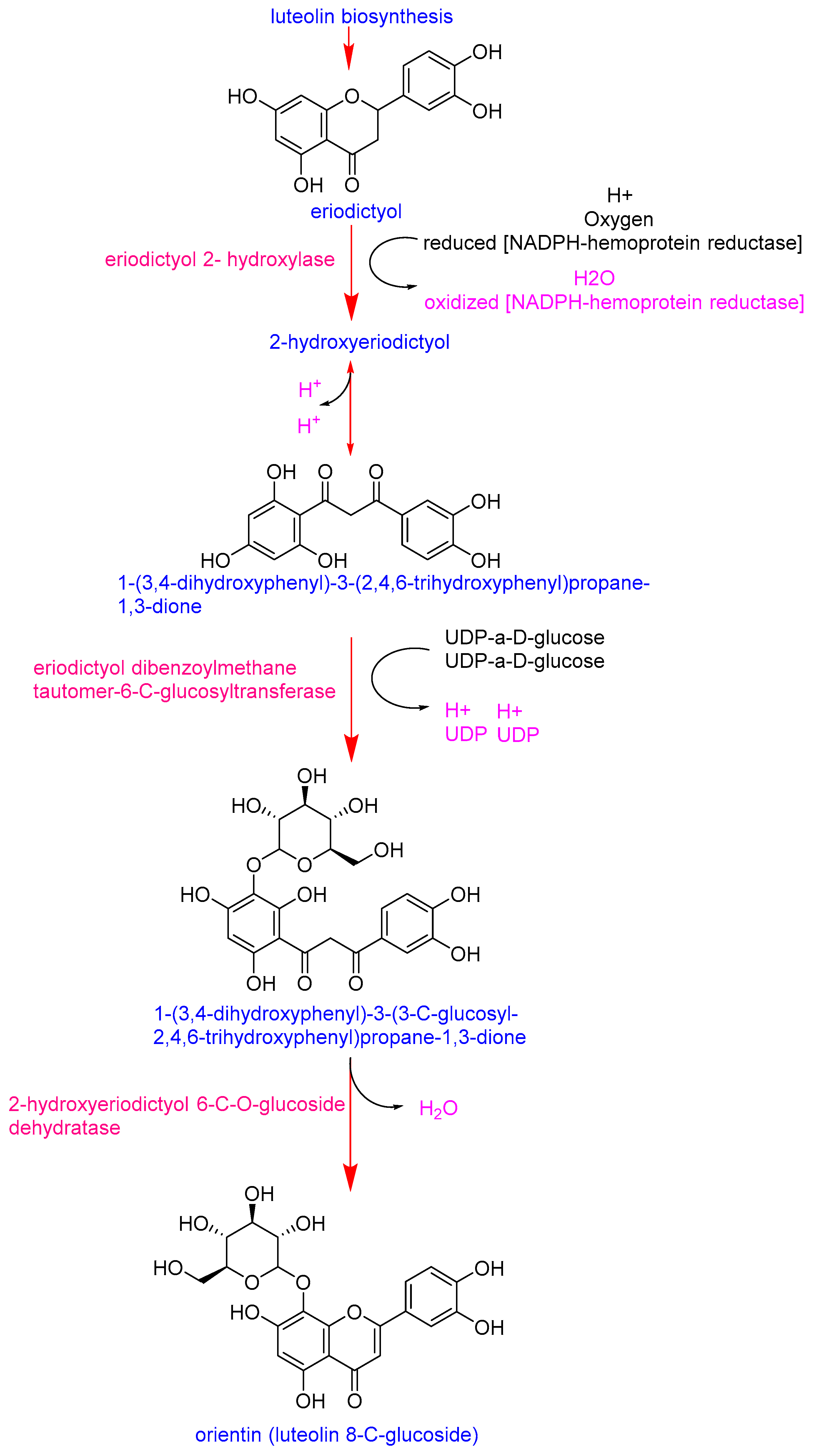 Antioxidants 14 01330 g003