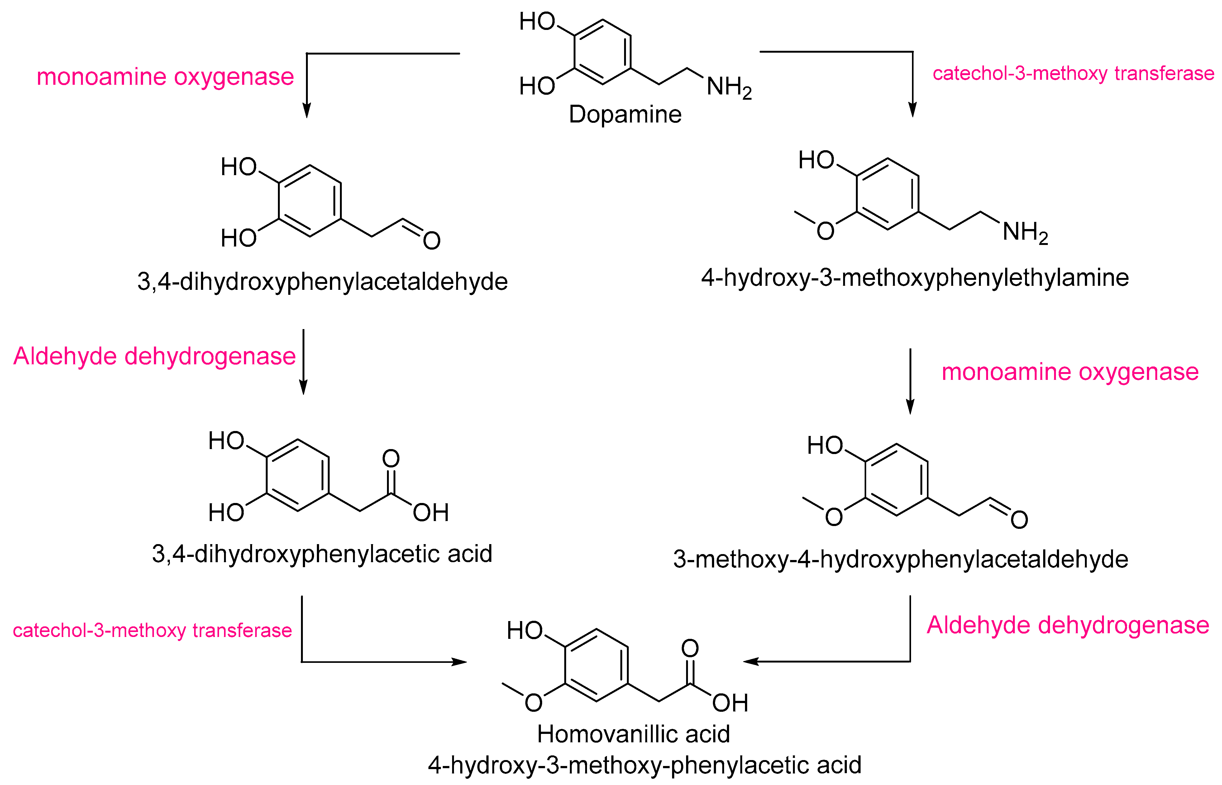 Antioxidants 14 01330 g004