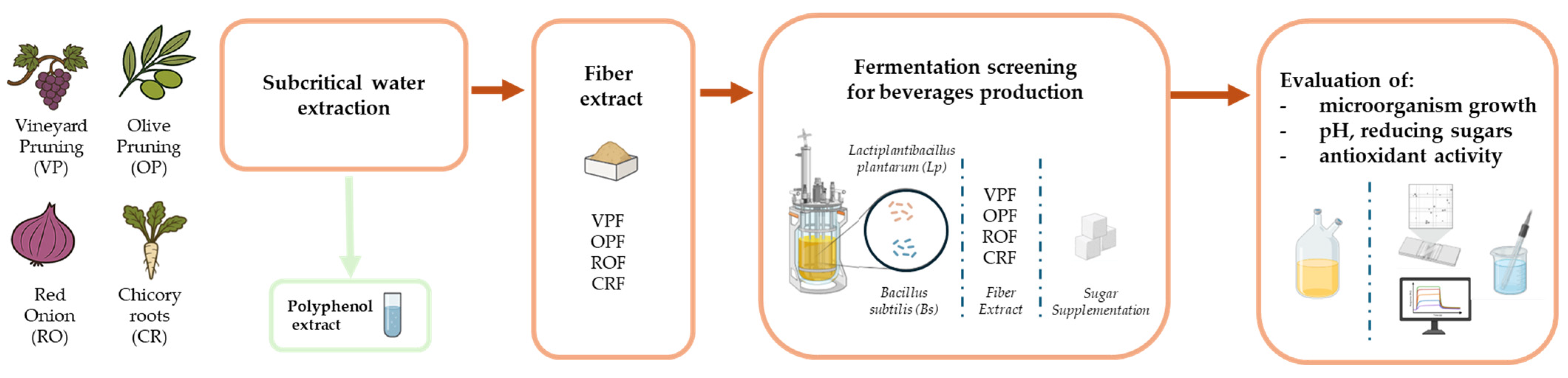 Antioxidants 14 01332 g001