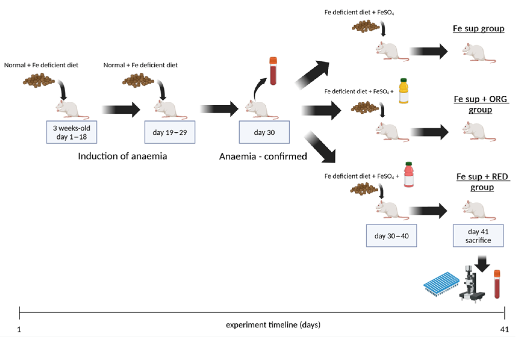 Antioxidants 14 01335 g001