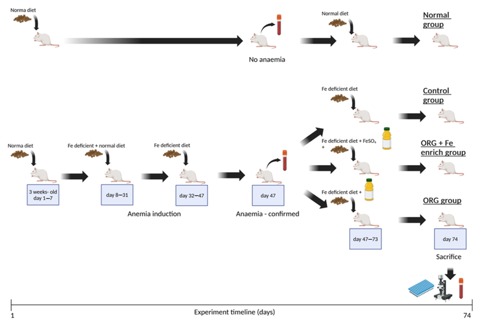Antioxidants 14 01335 g002
