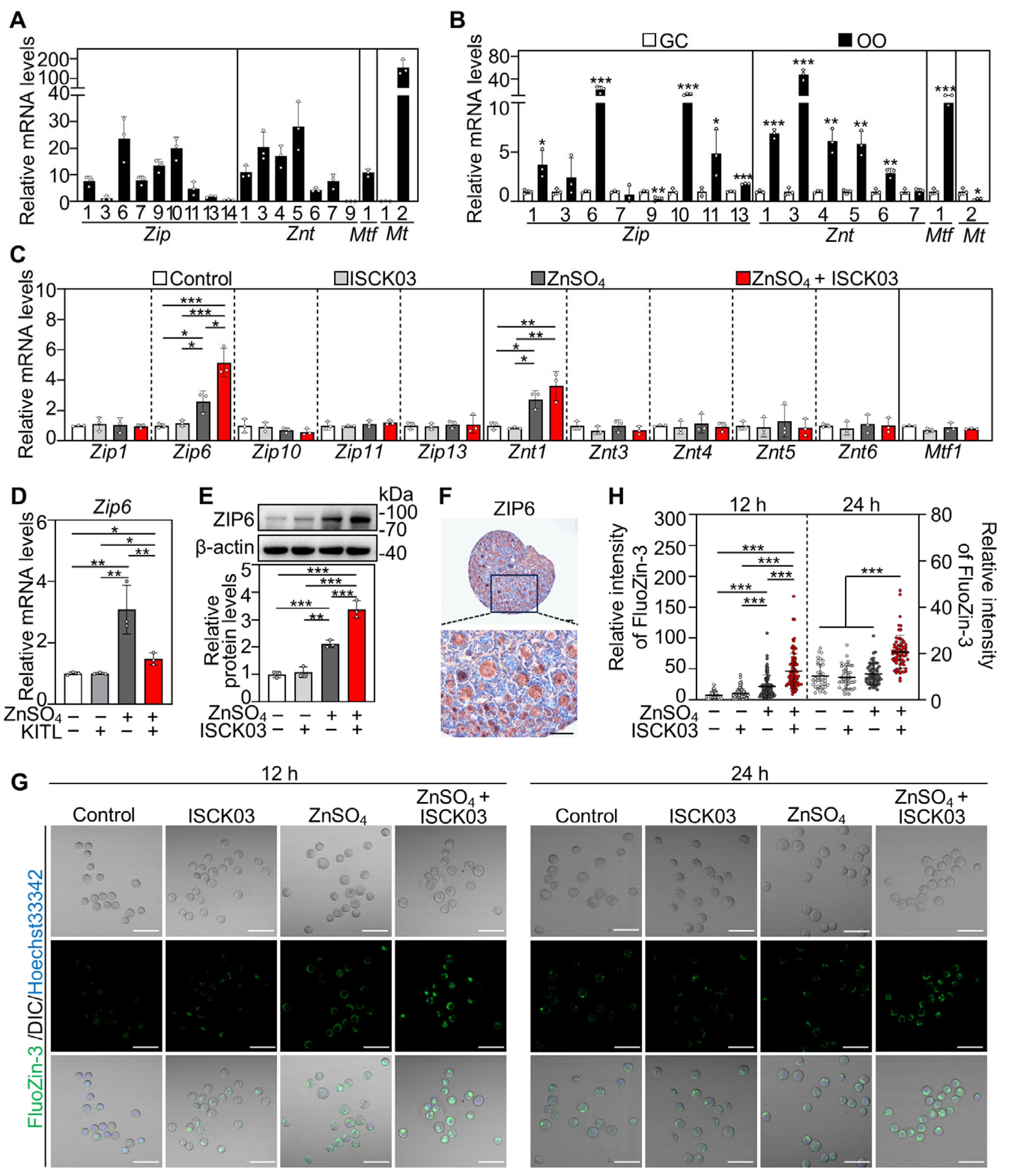 Antioxidants 14 01345 g002