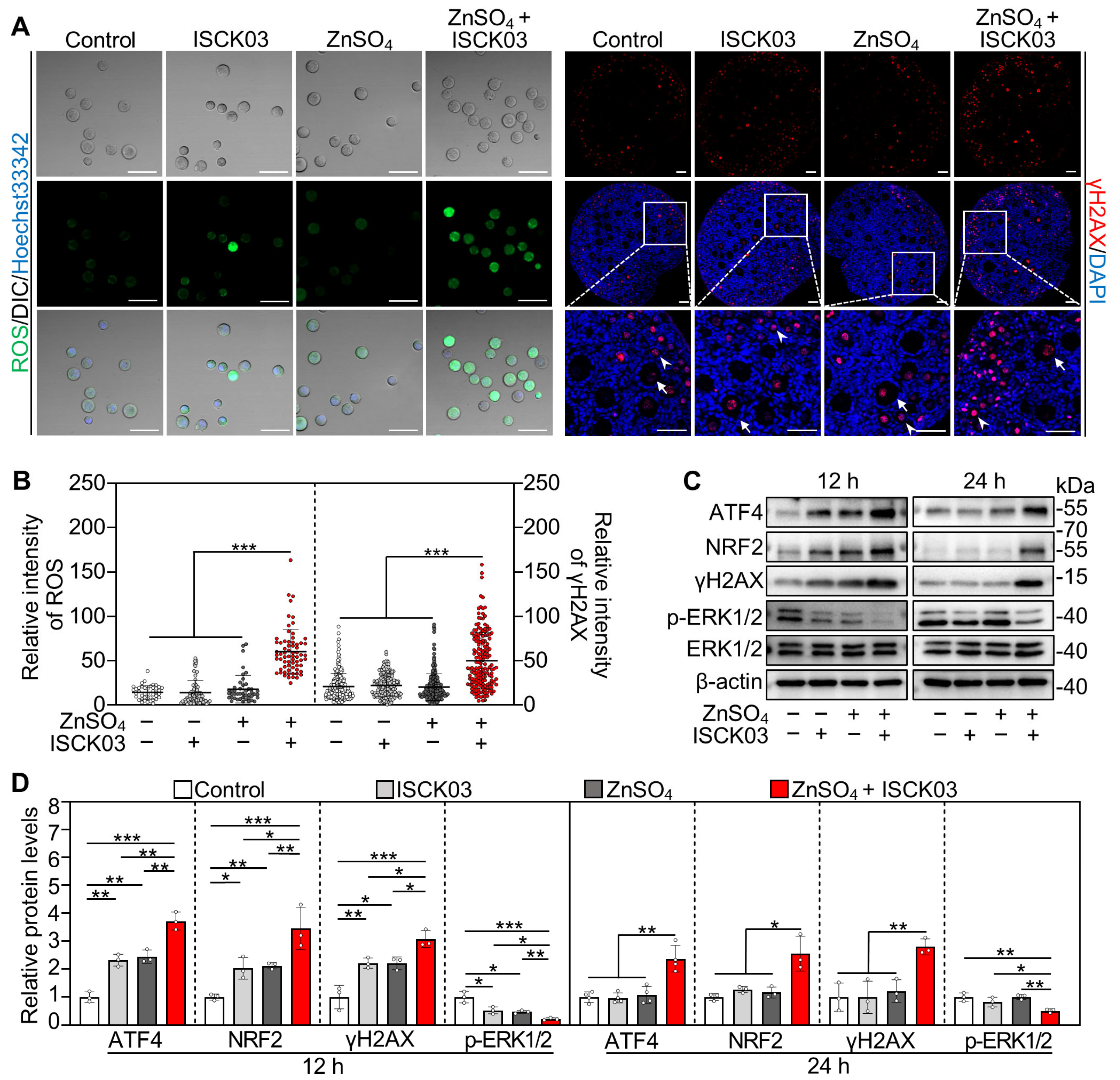 Antioxidants 14 01345 g003