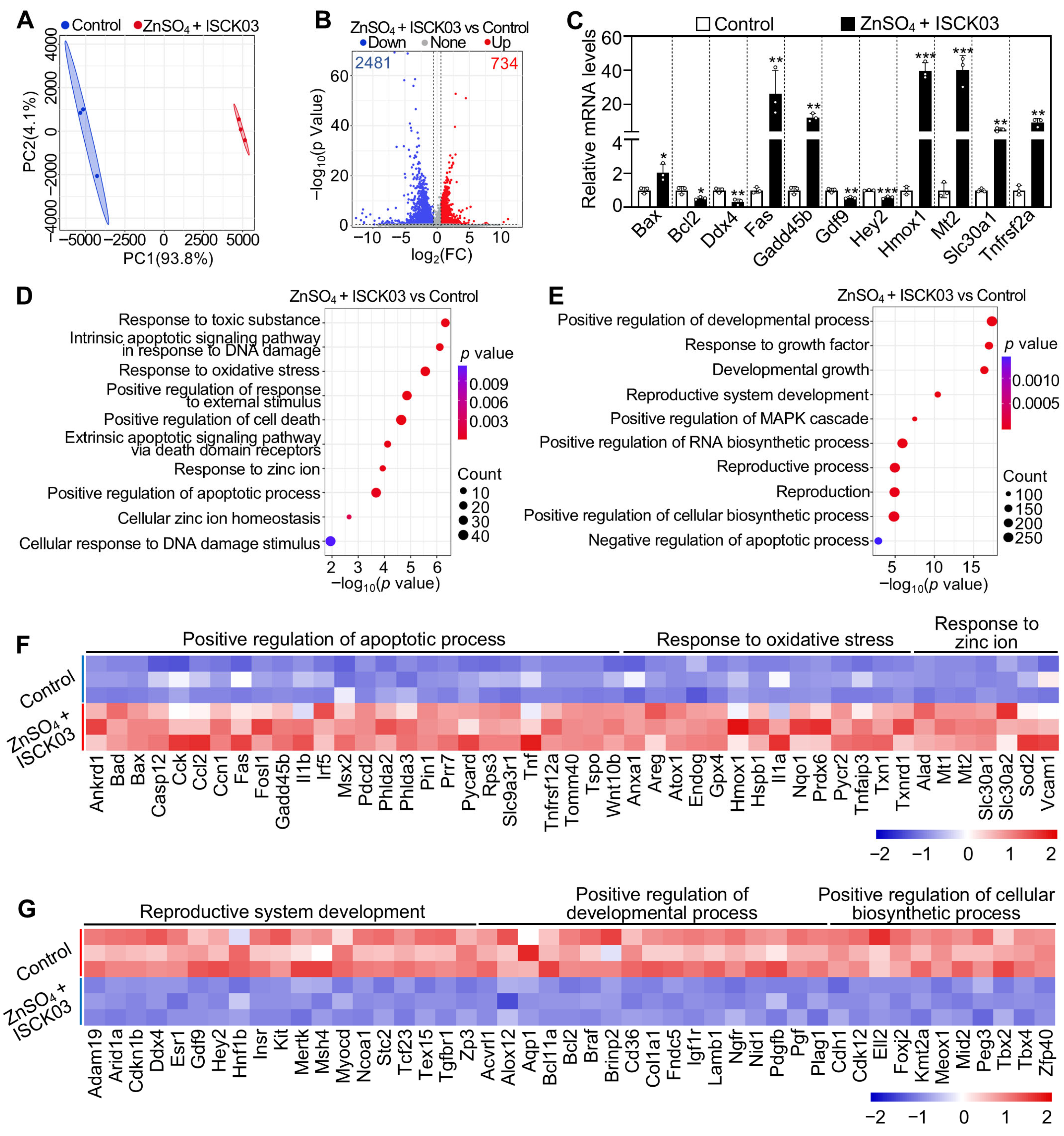 Antioxidants 14 01345 g006