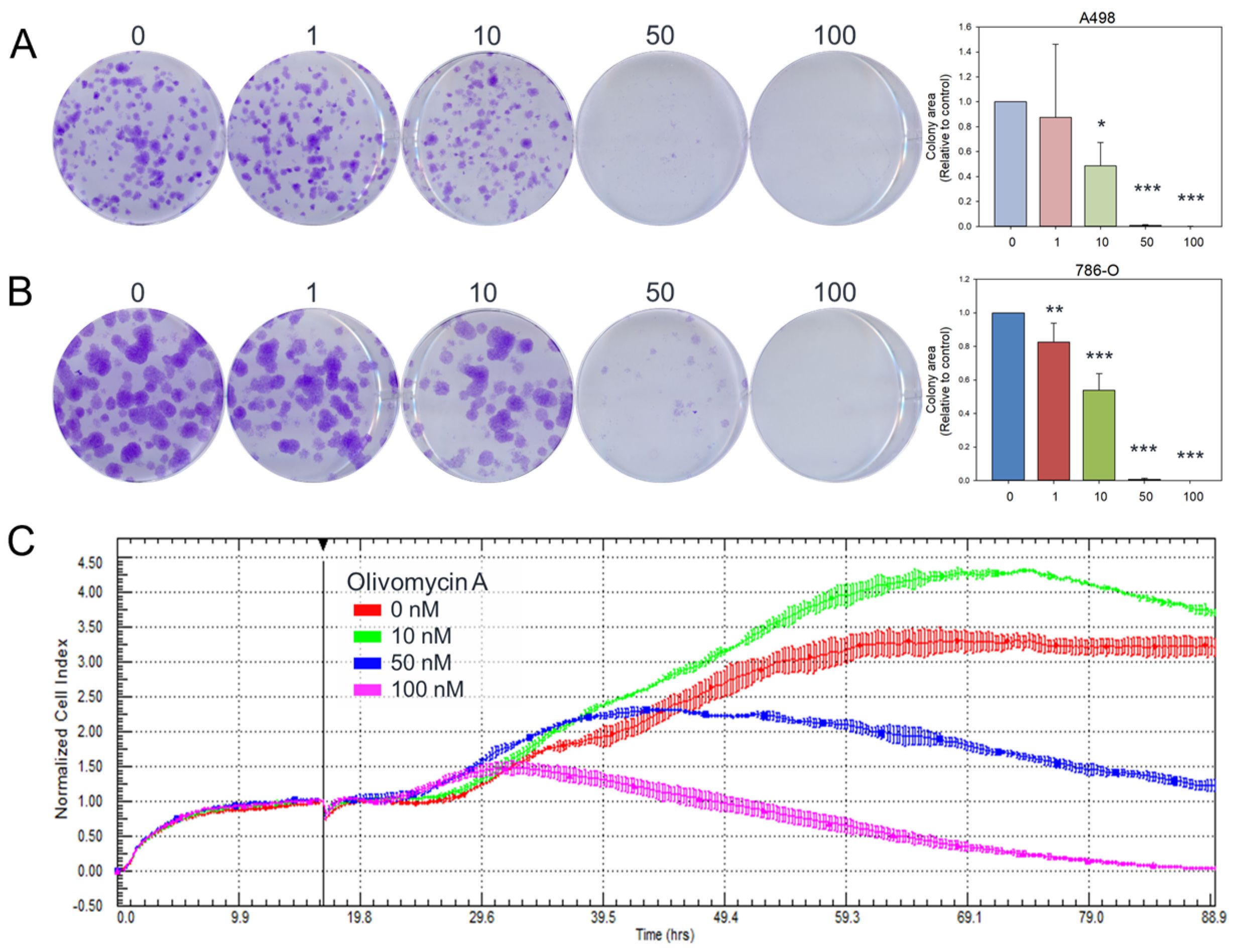 Antioxidants 14 01348 g002