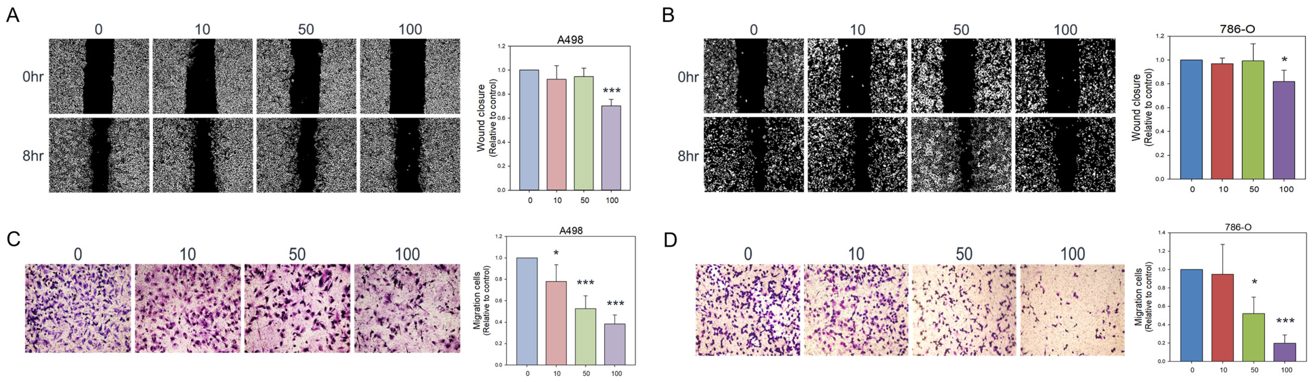 Antioxidants 14 01348 g003
