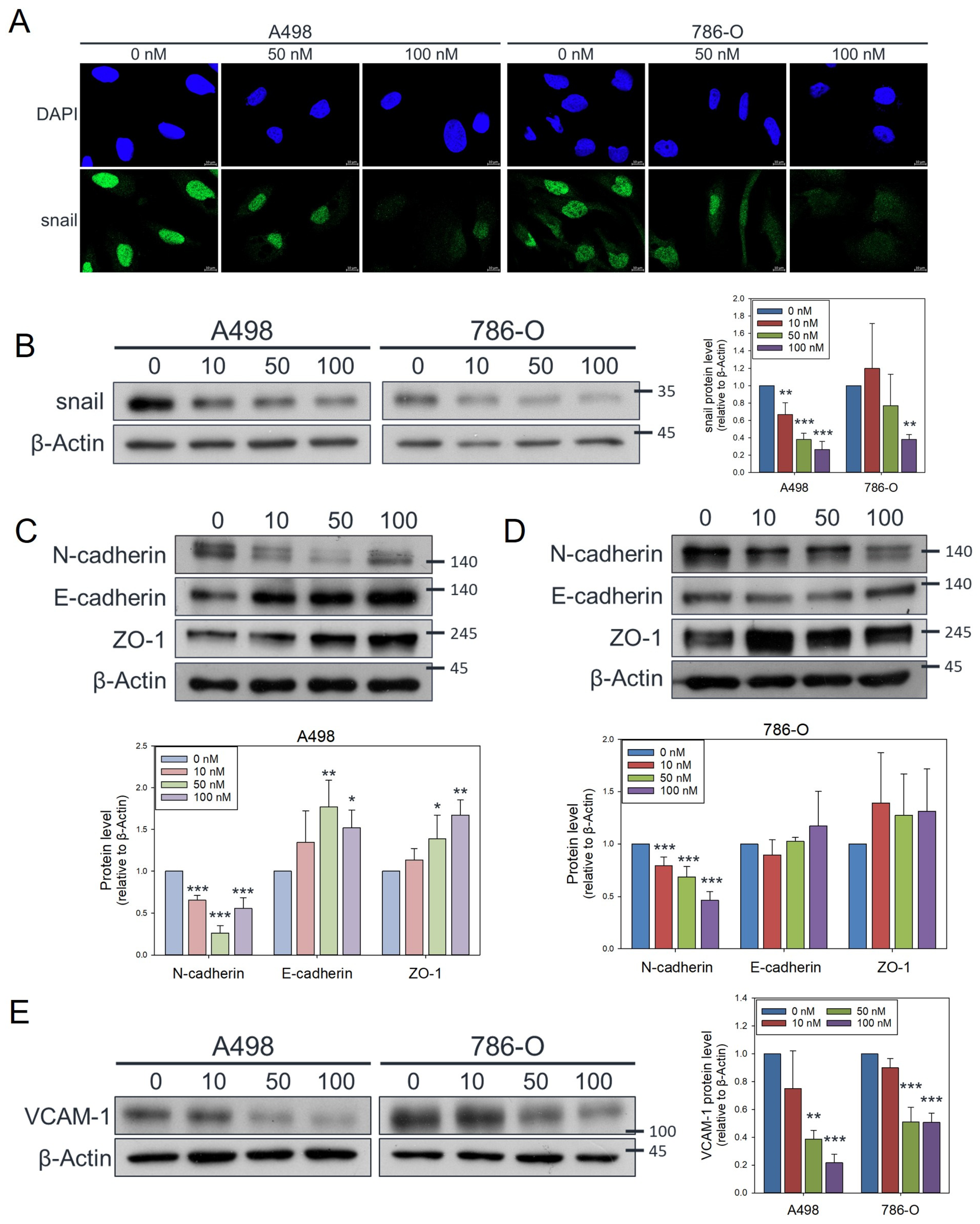 Antioxidants 14 01348 g004