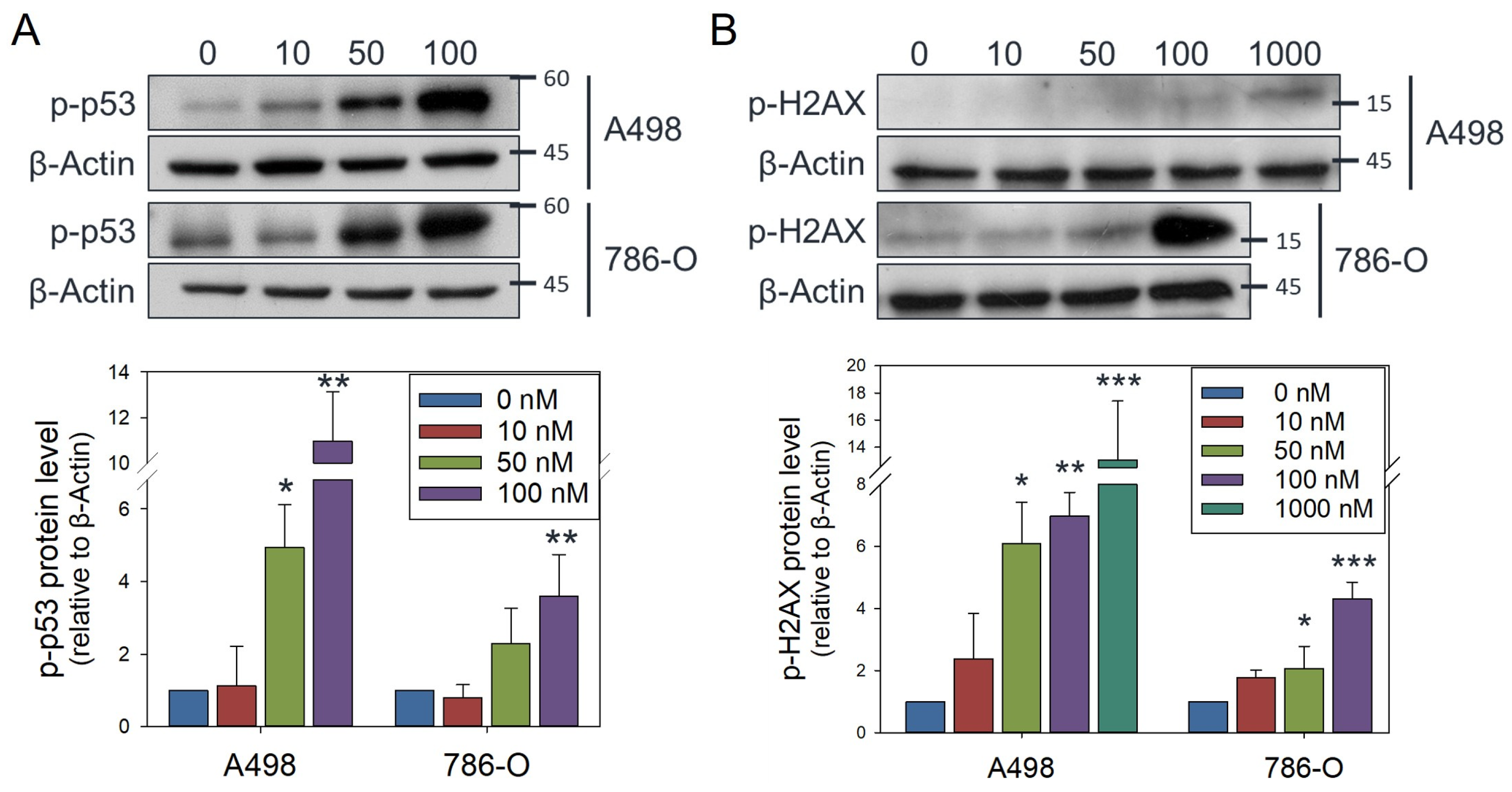 Antioxidants 14 01348 g006