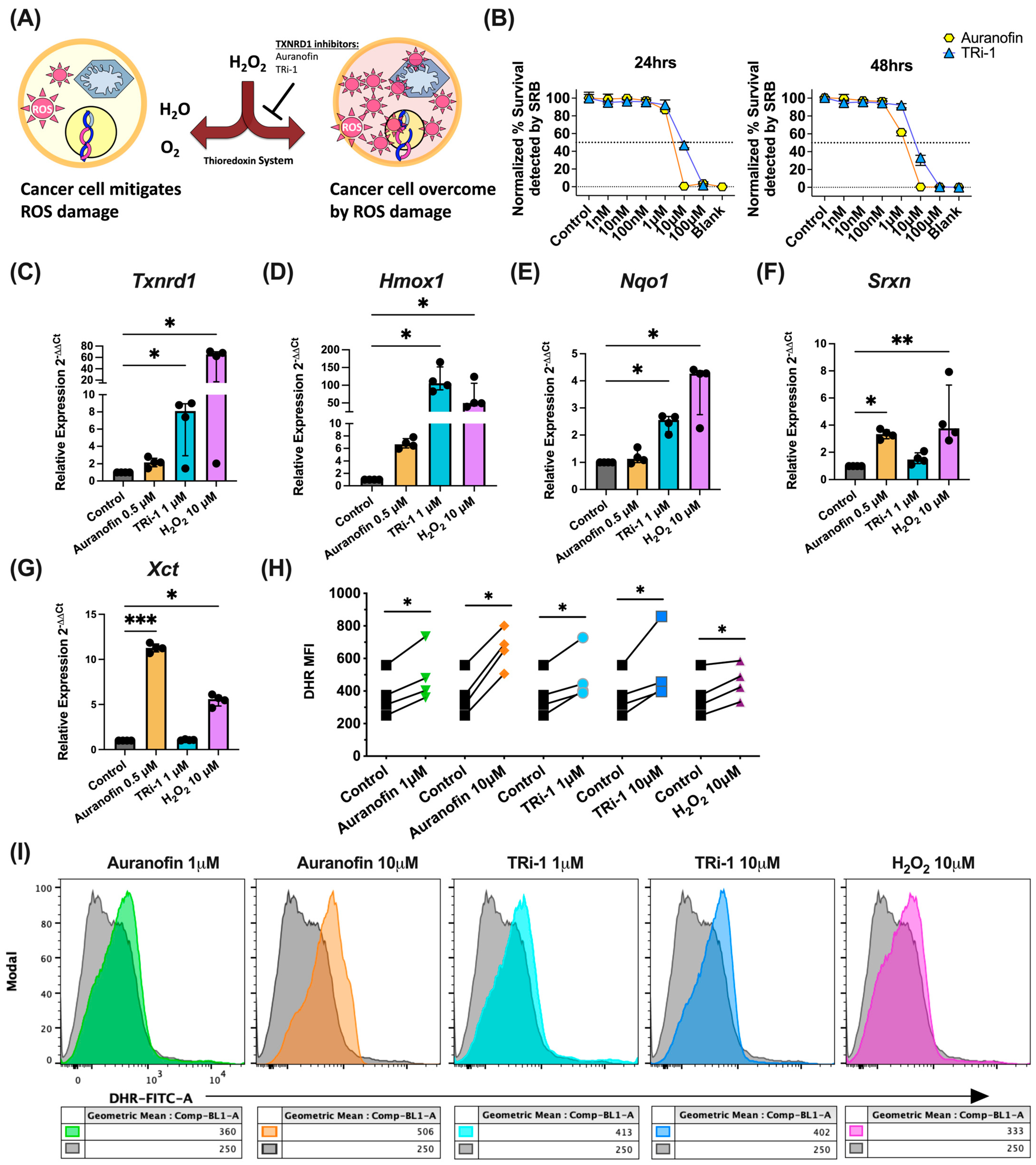 Antioxidants 14 01351 g001