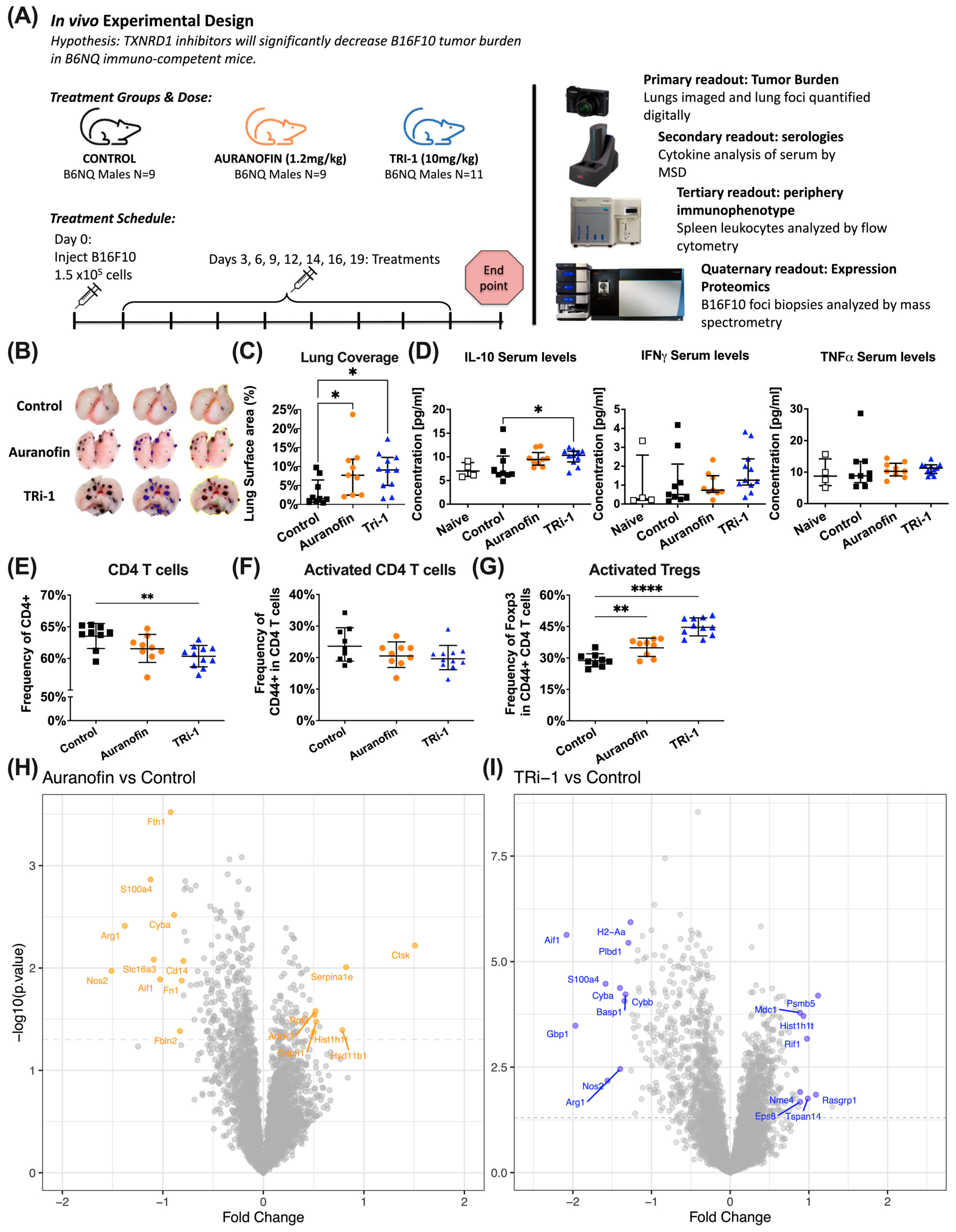 Antioxidants 14 01351 g002