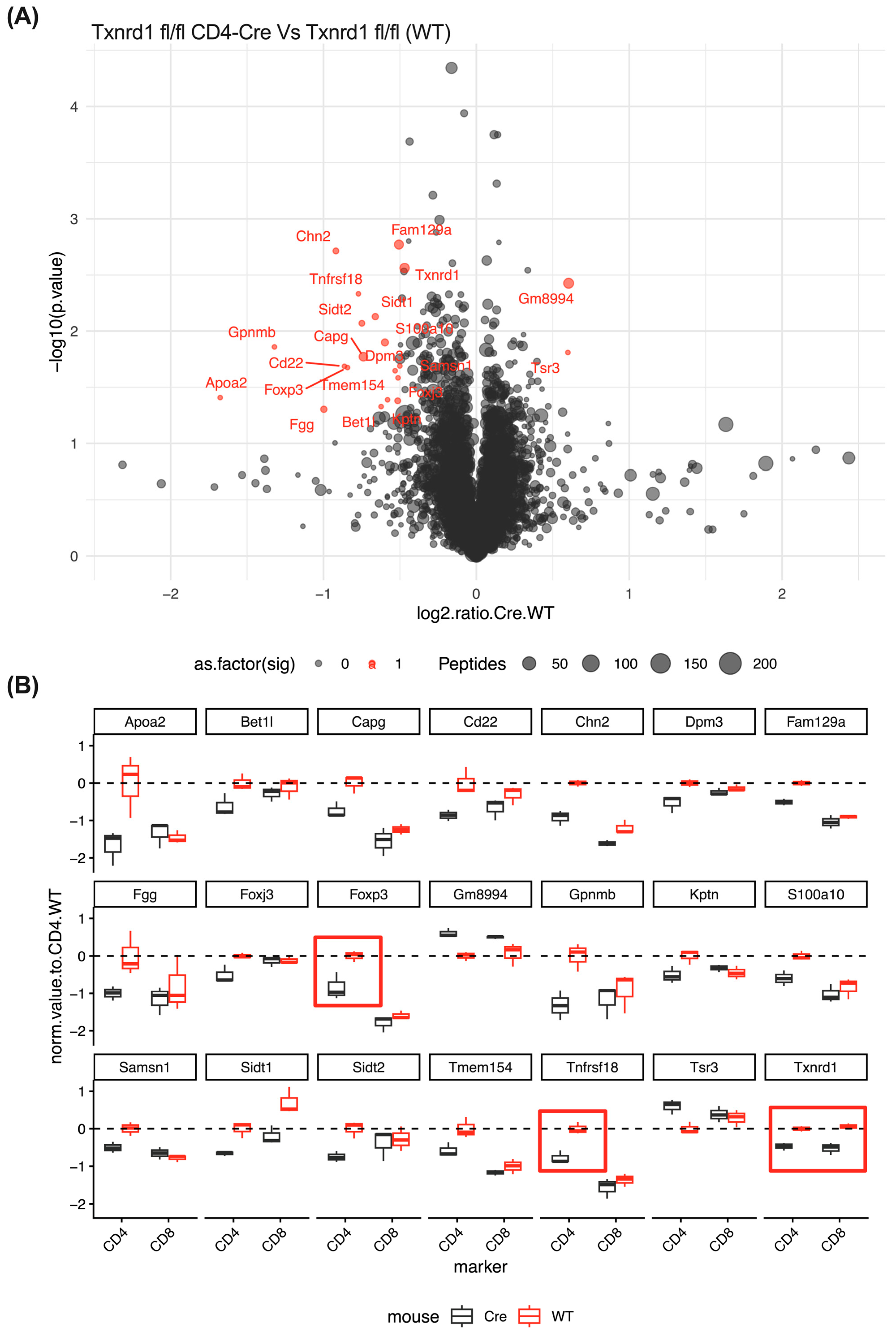 Antioxidants 14 01351 g006