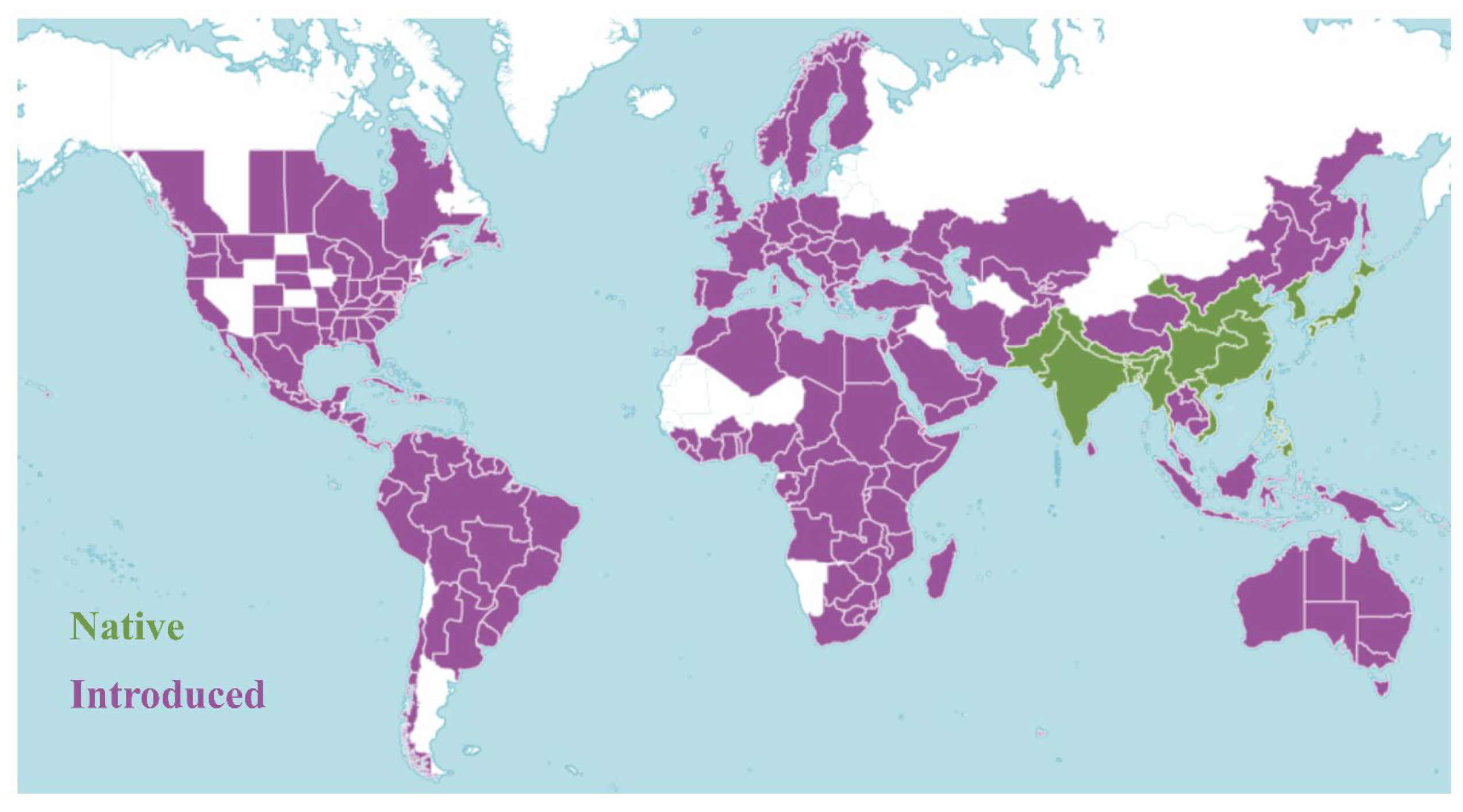 Antioxidants 14 01352 g002