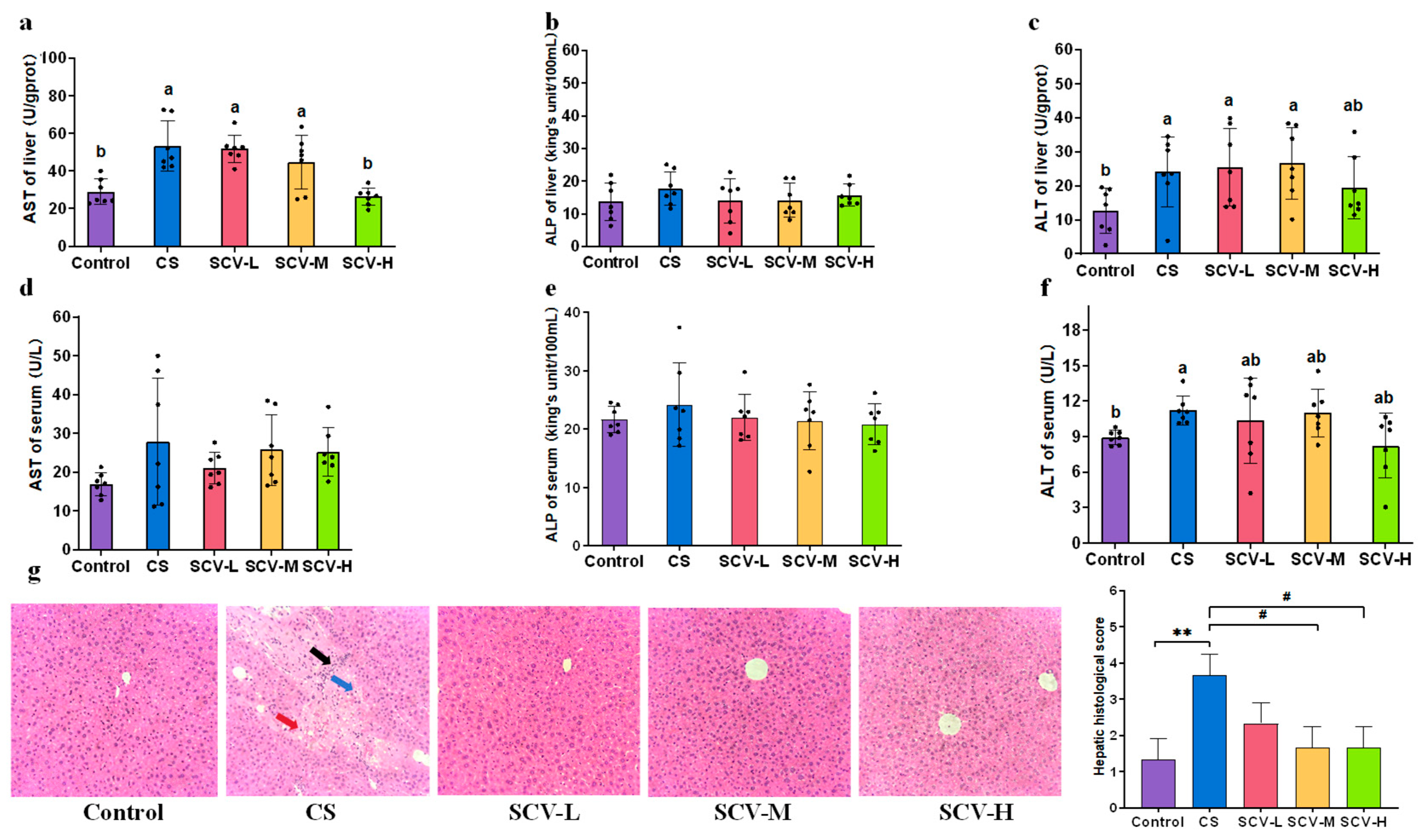 Antioxidants 14 01355 g004
