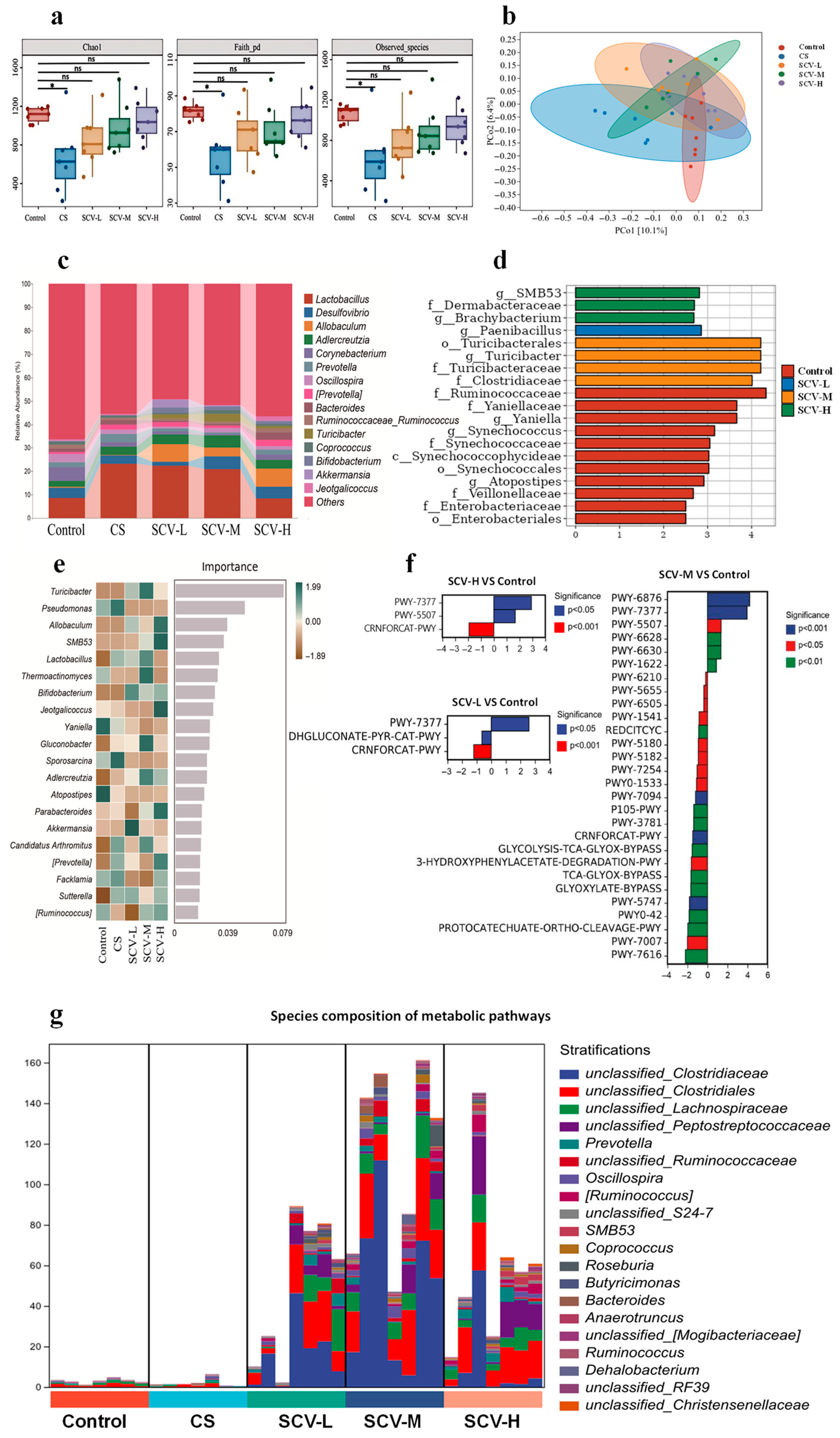 Antioxidants 14 01355 g006