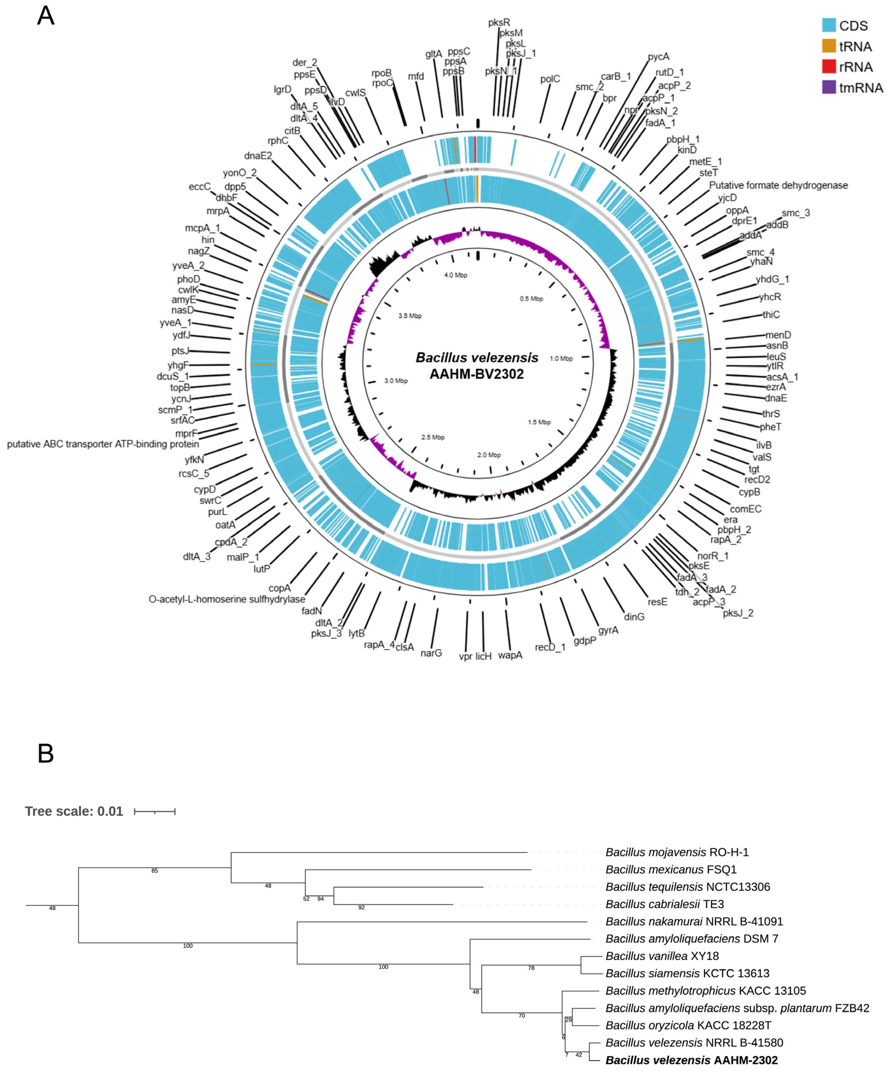 Antioxidants 14 01356 g001