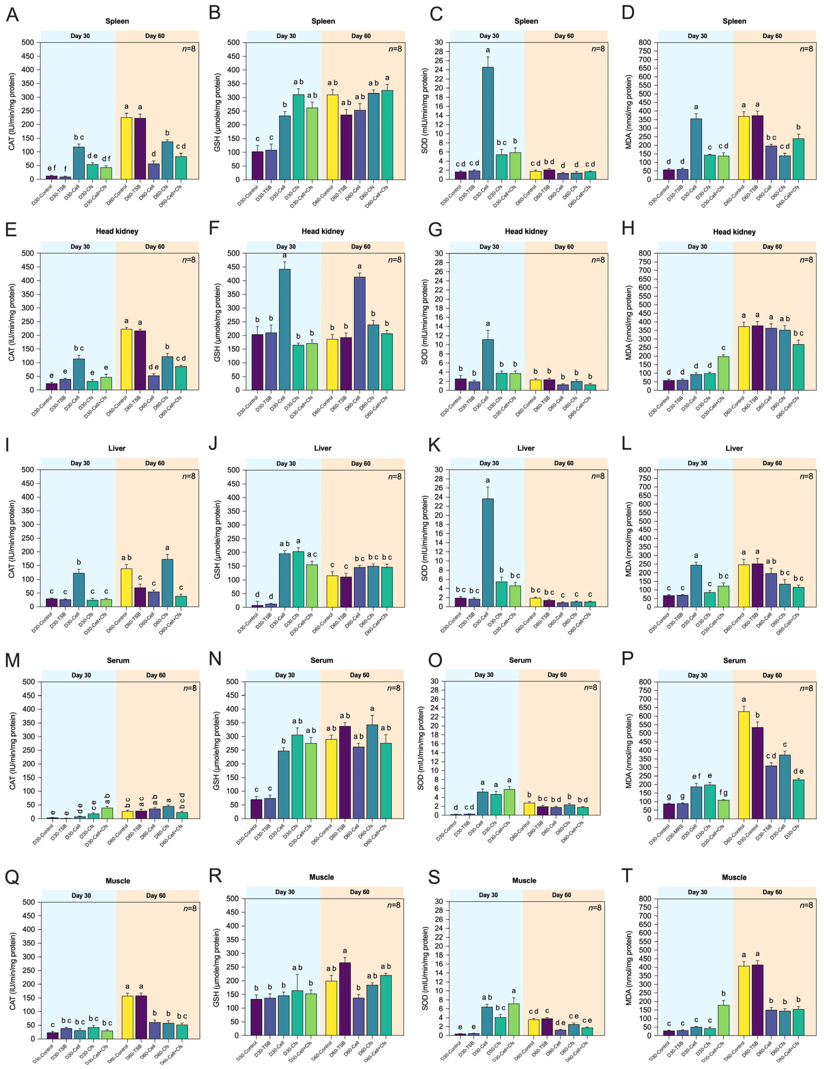 Antioxidants 14 01356 g003