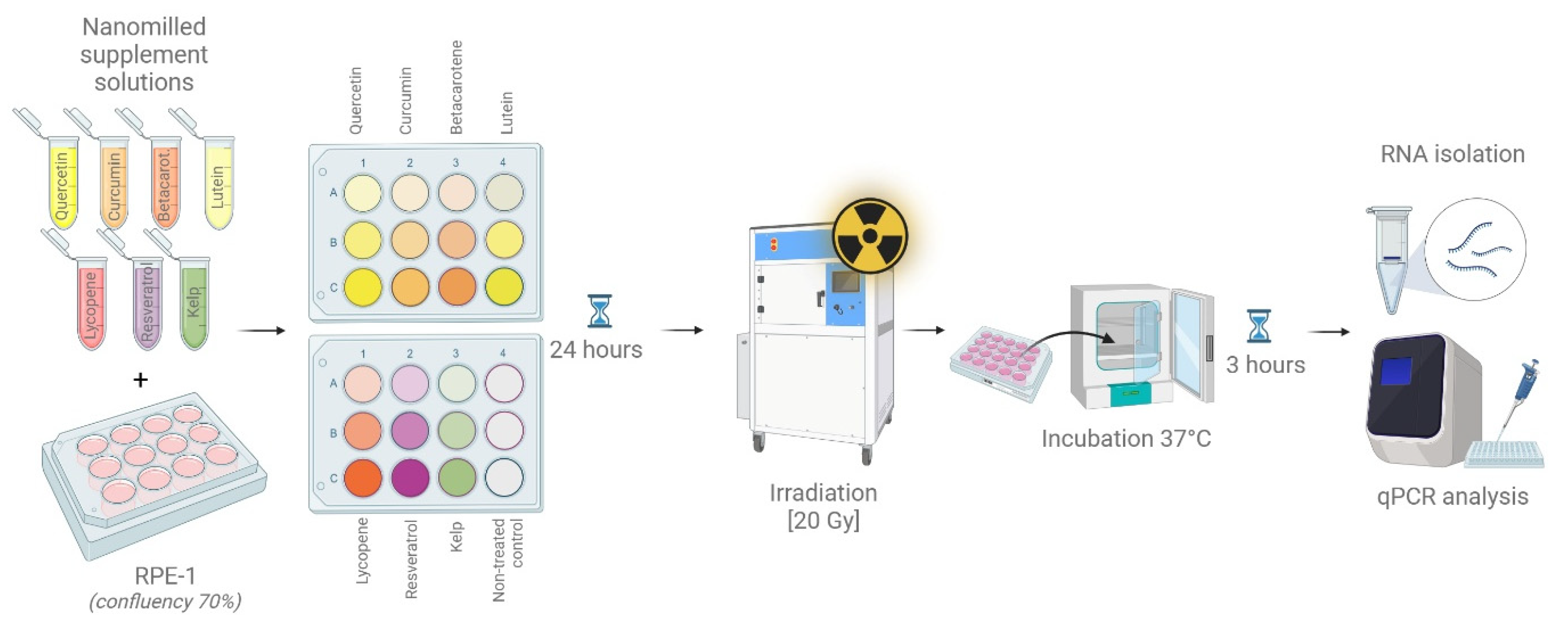 Antioxidants 14 01357 g001 Antioxidants 14 01357 g001