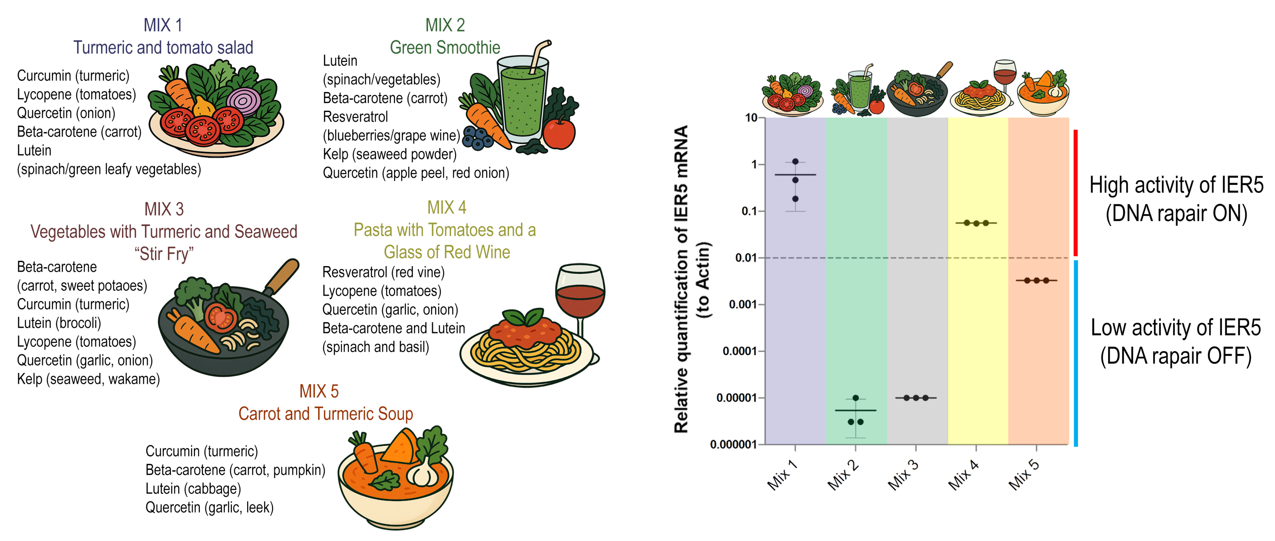 Antioxidants 14 01357 g005 Antioxidants 14 01357 g005