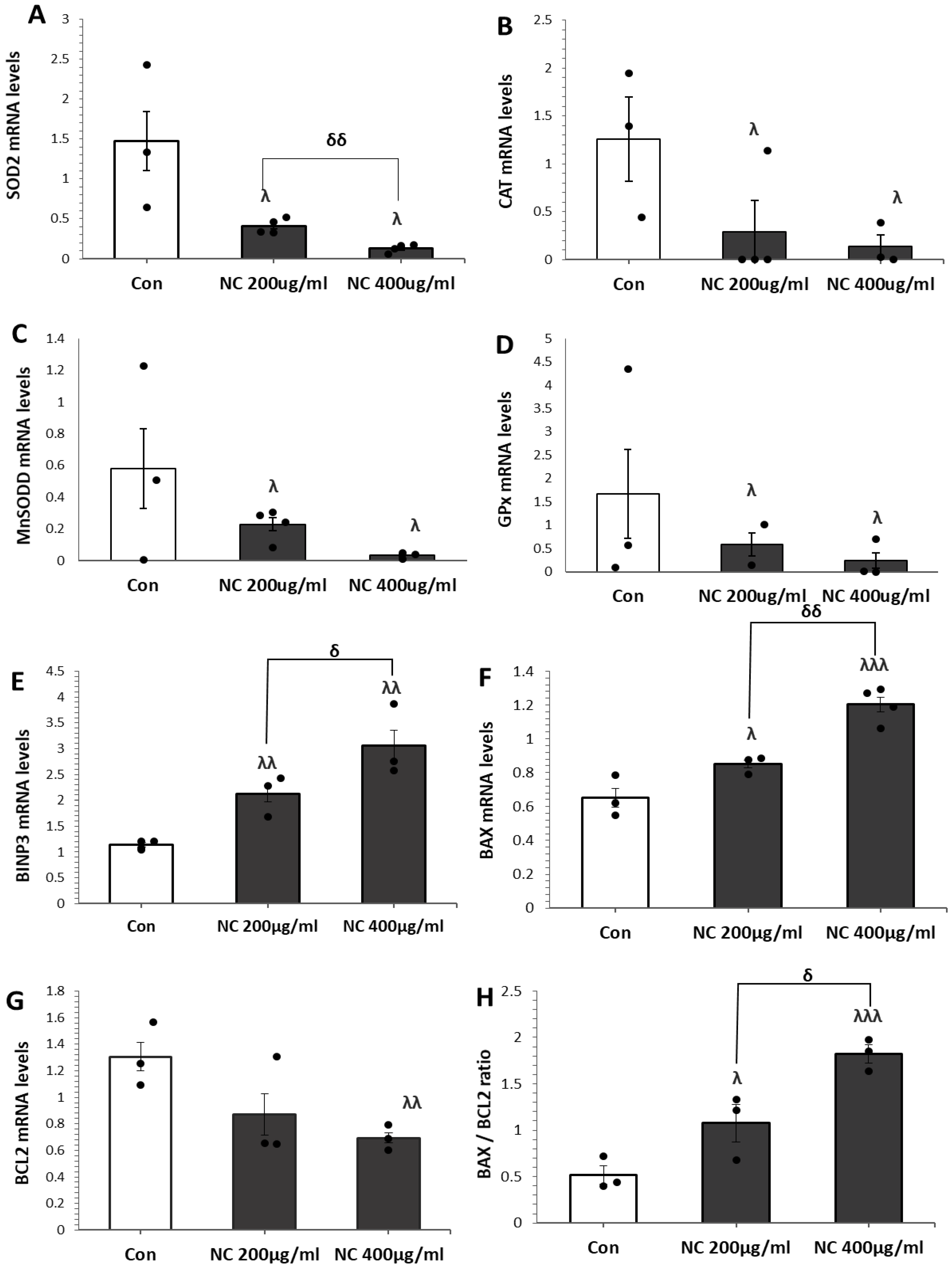 Antioxidants 14 01361 g002 Antioxidants 14 01361 g002