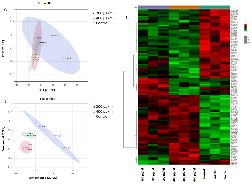 Antioxidants 14 01361 g005 Antioxidants 14 01361 g005