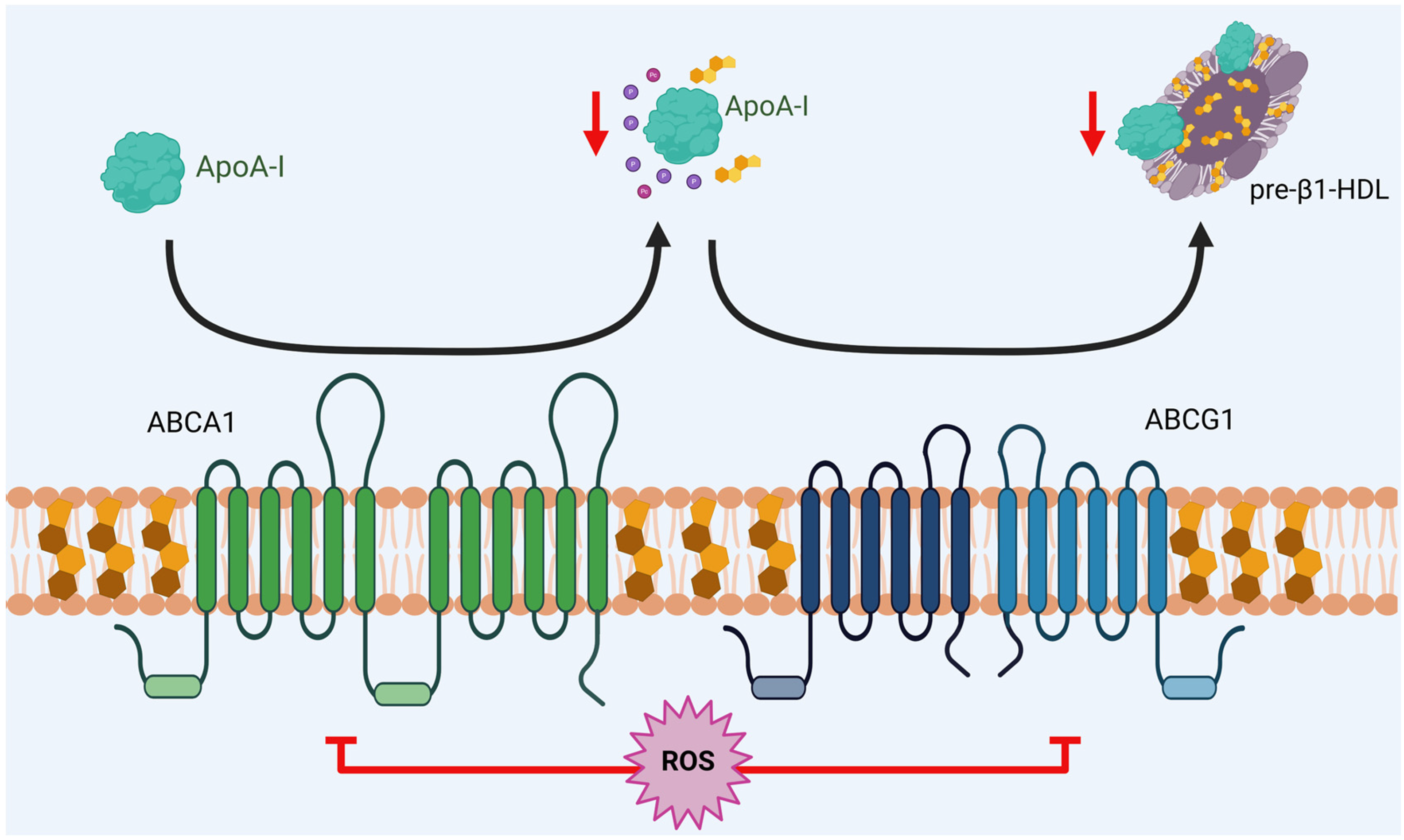 Antioxidants 14 01362 g003