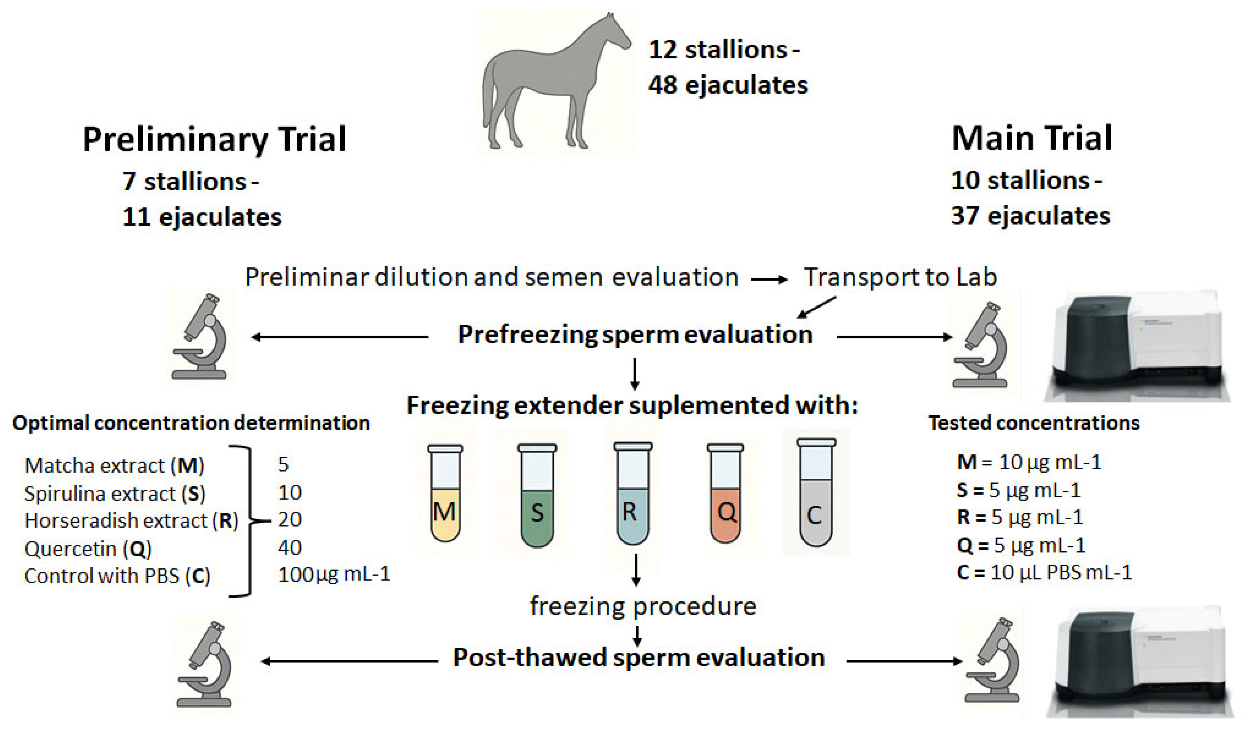 Antioxidants 14 01363 g001