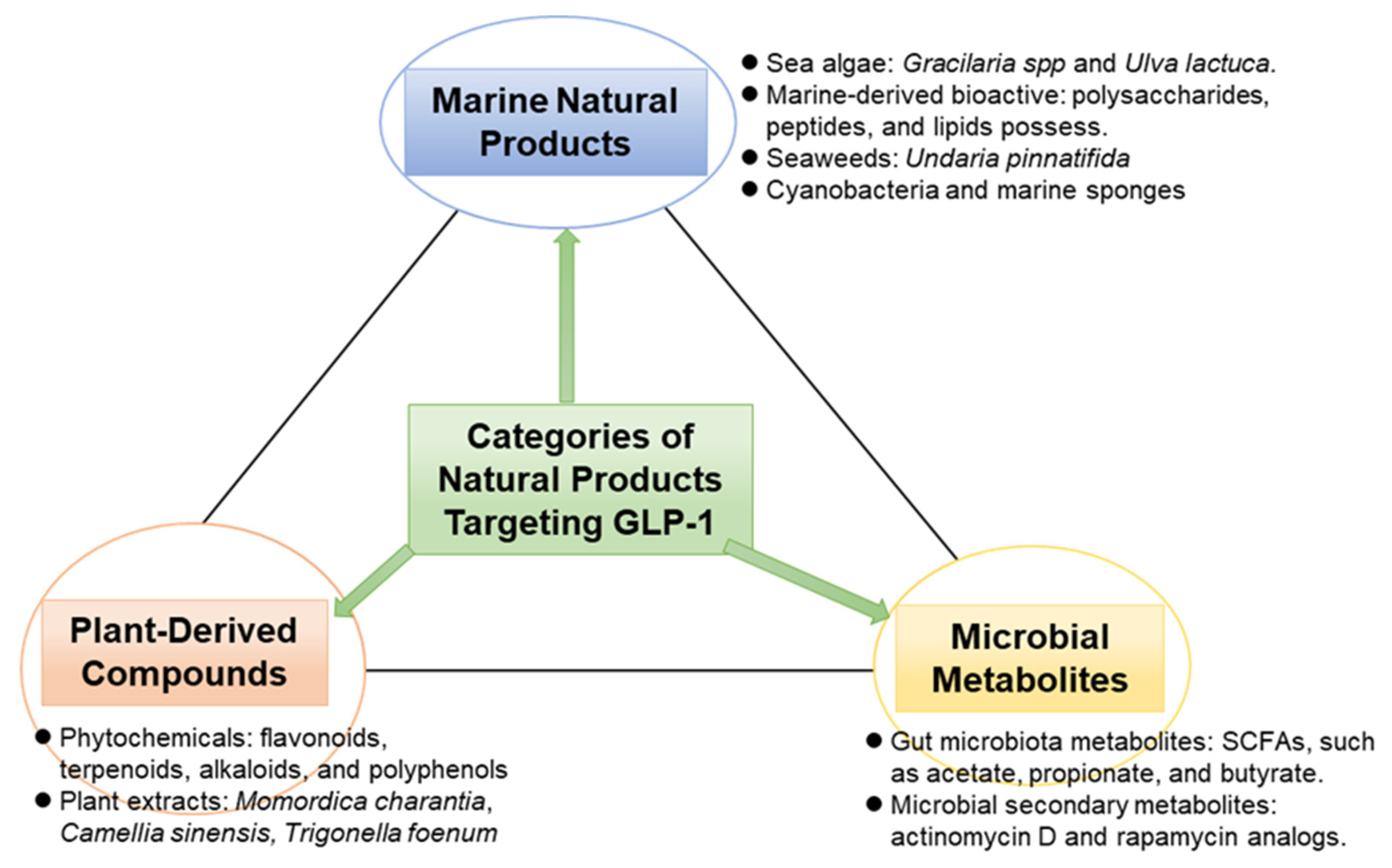 Antioxidants 14 01364 g001 Antioxidants 14 01364 g001