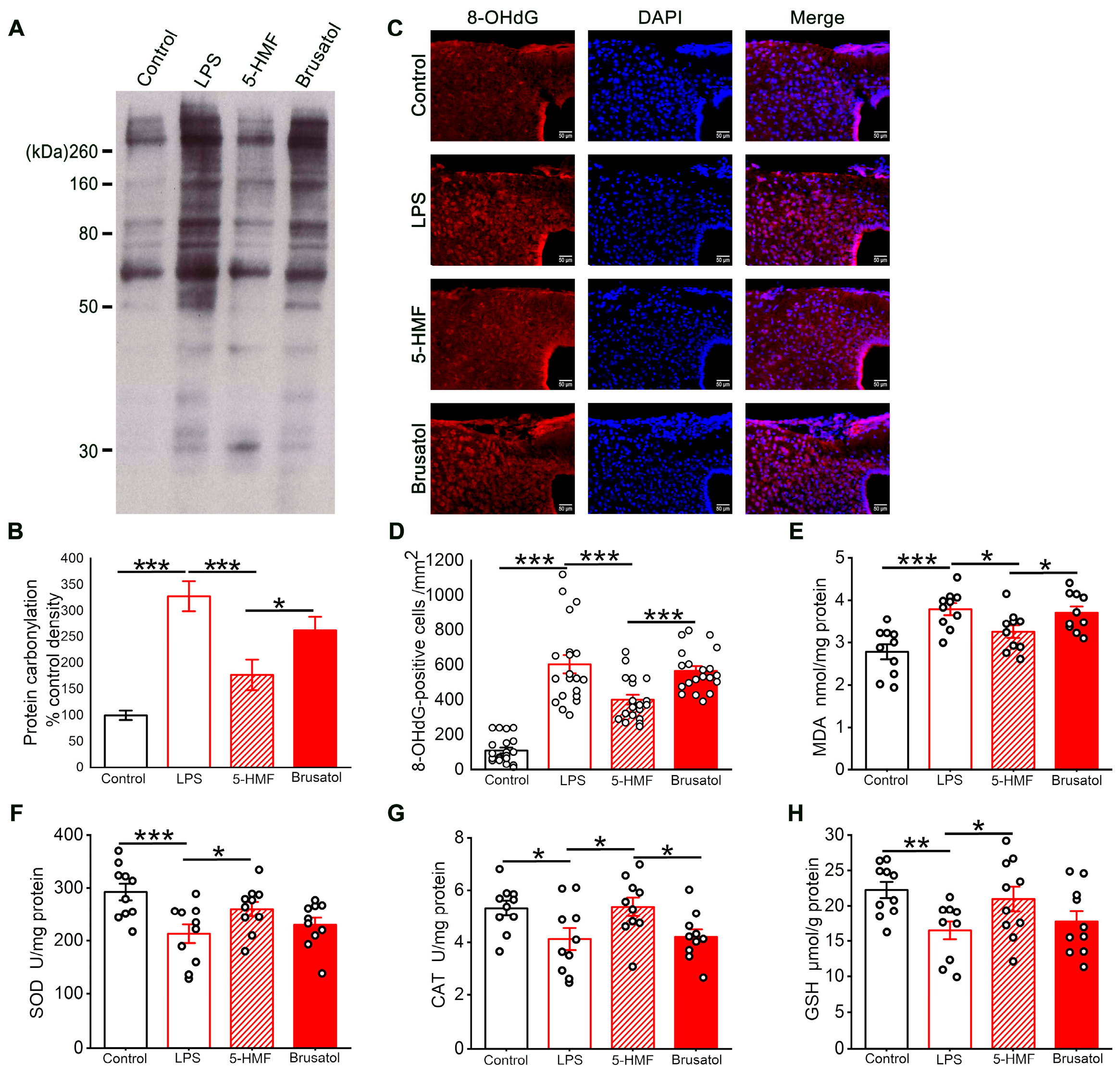 Antioxidants 14 01366 g004