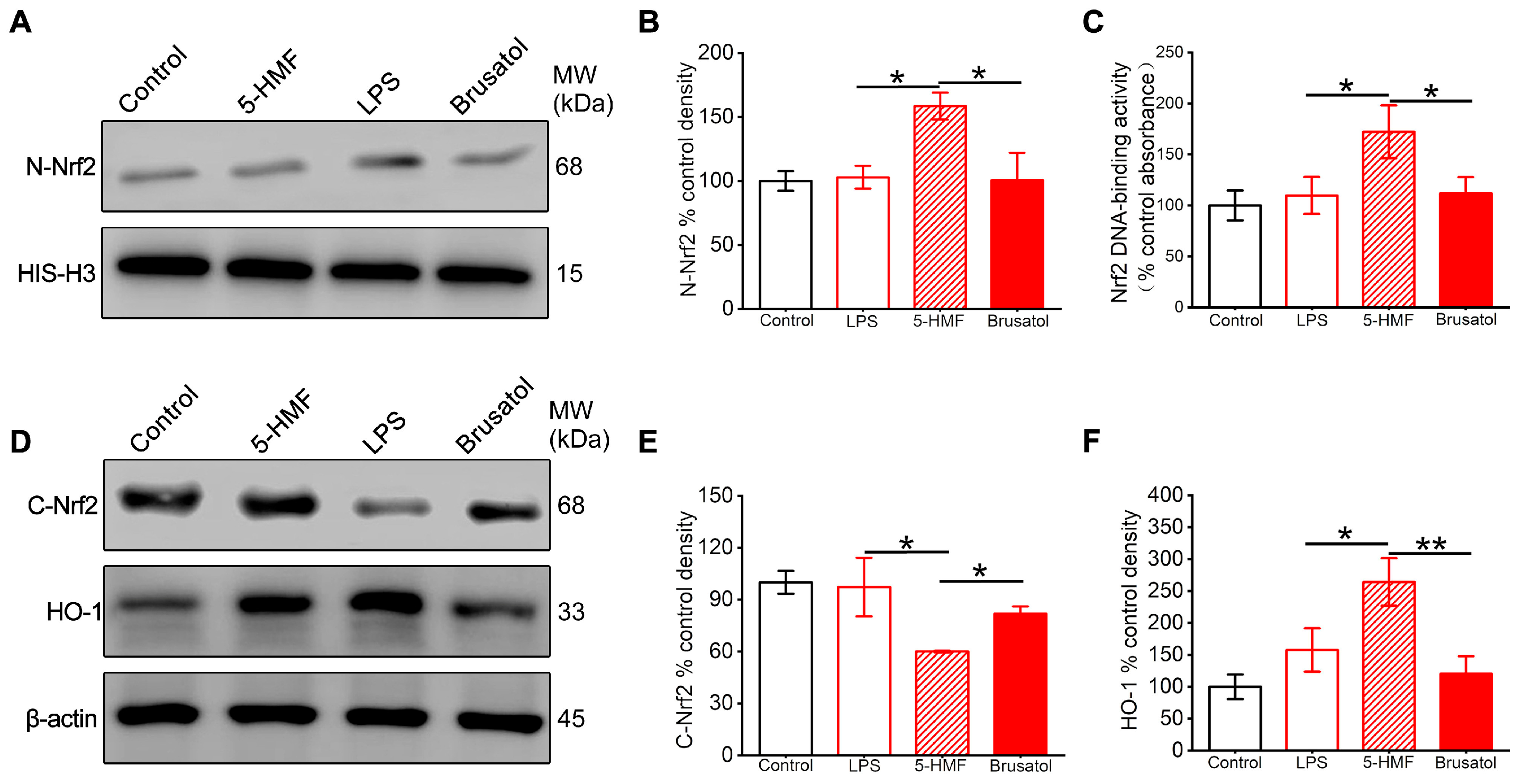 Antioxidants 14 01366 g005