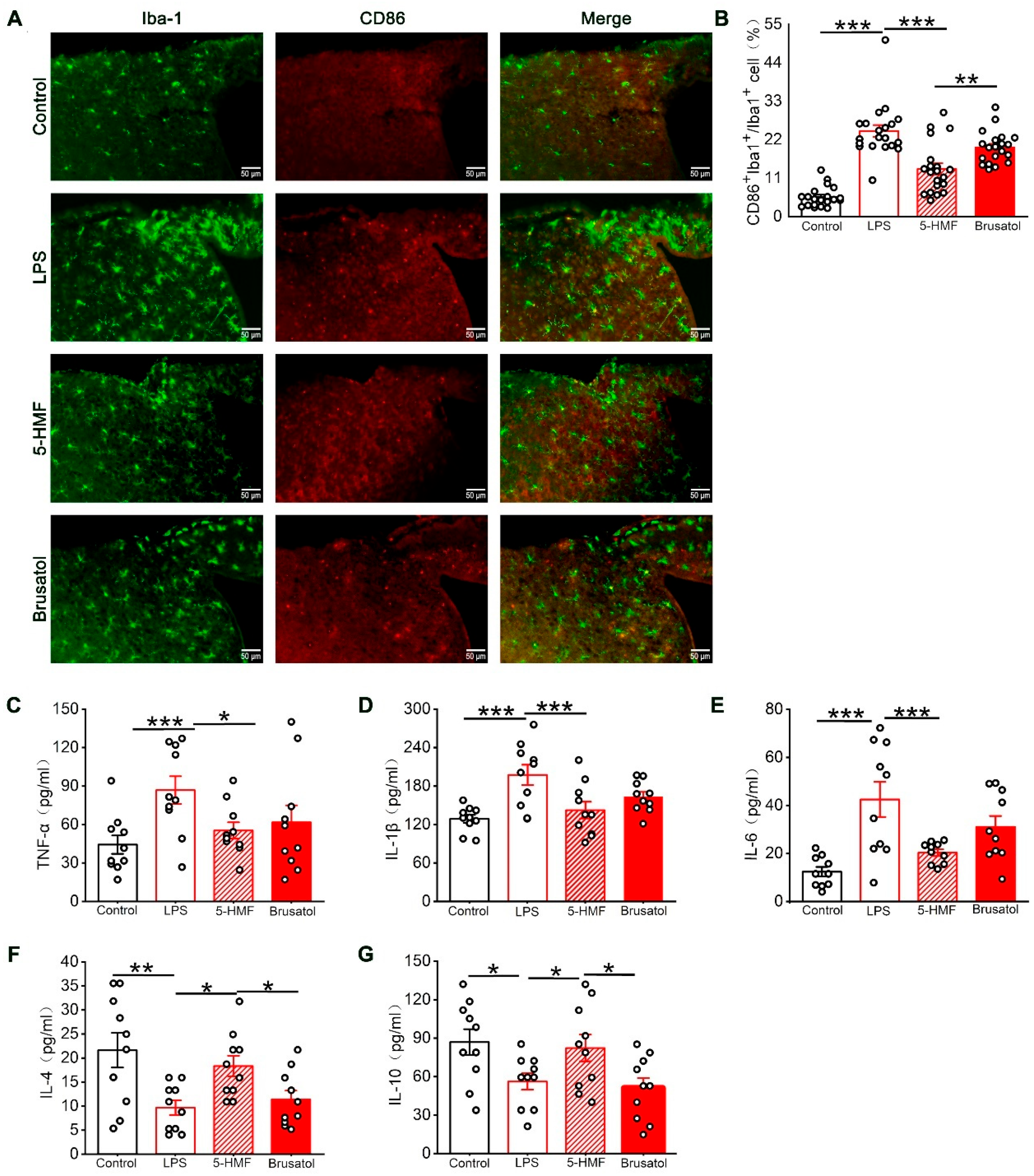 Antioxidants 14 01366 g006