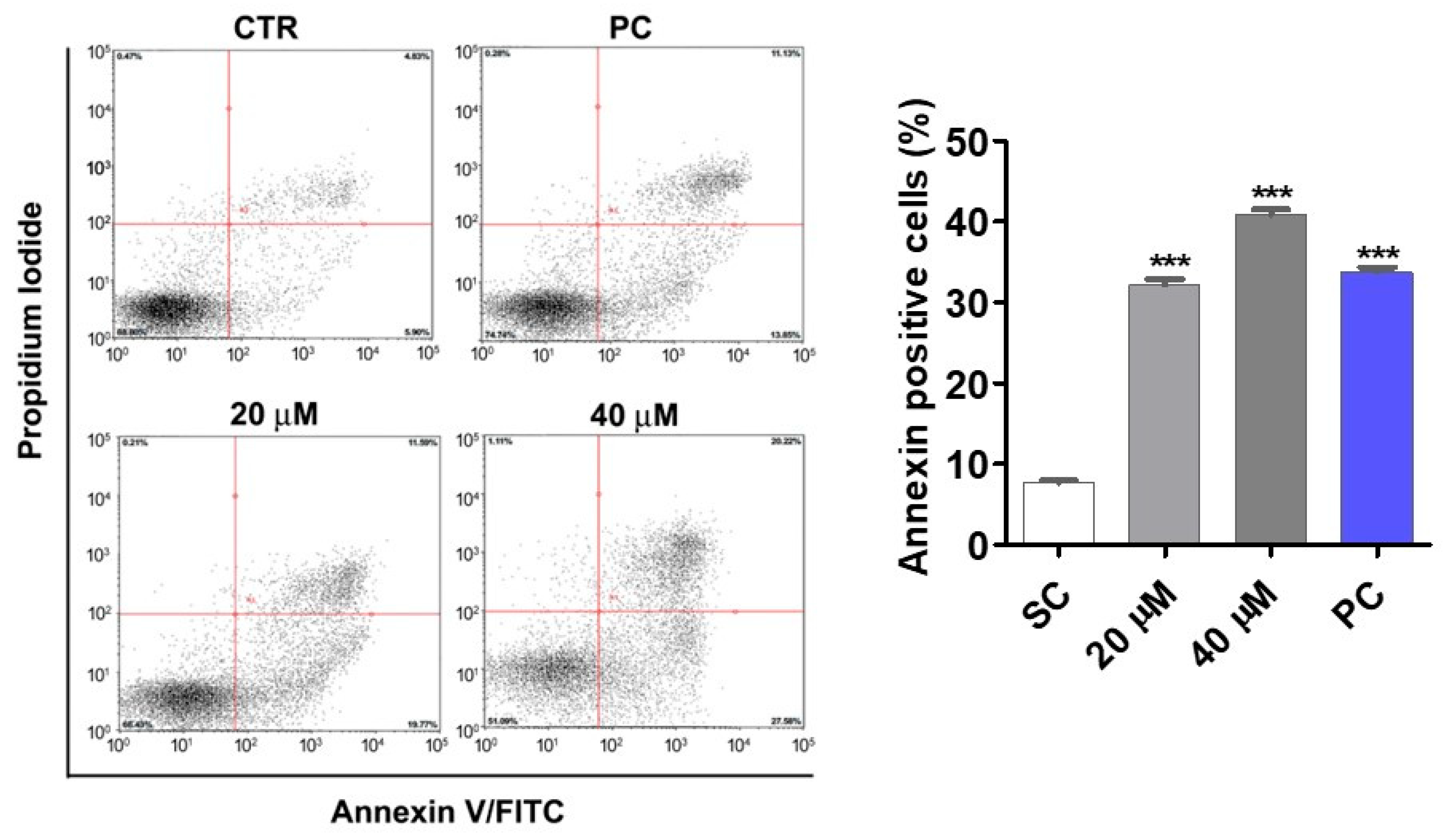 Antioxidants 14 01367 g004