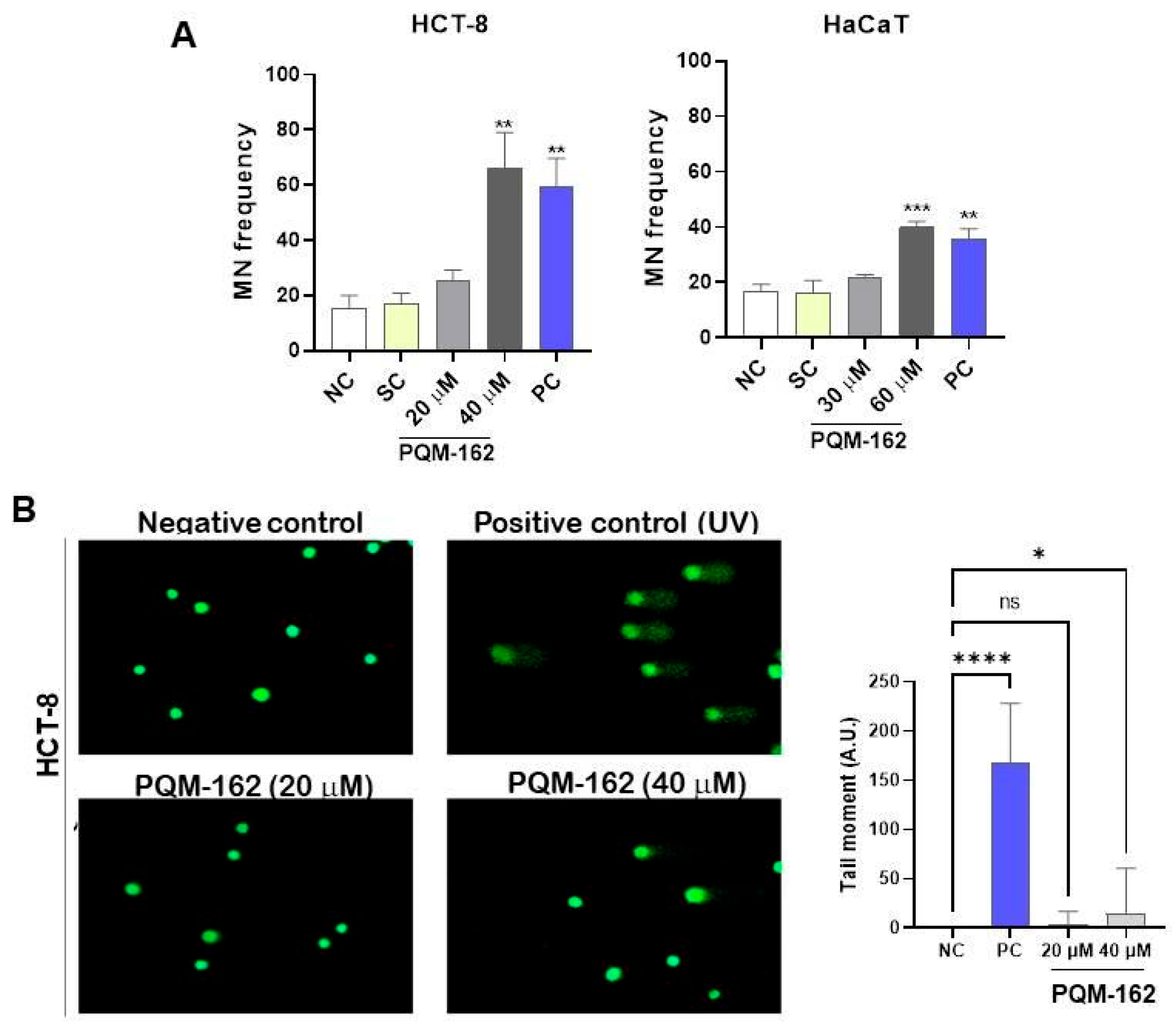 Antioxidants 14 01367 g005