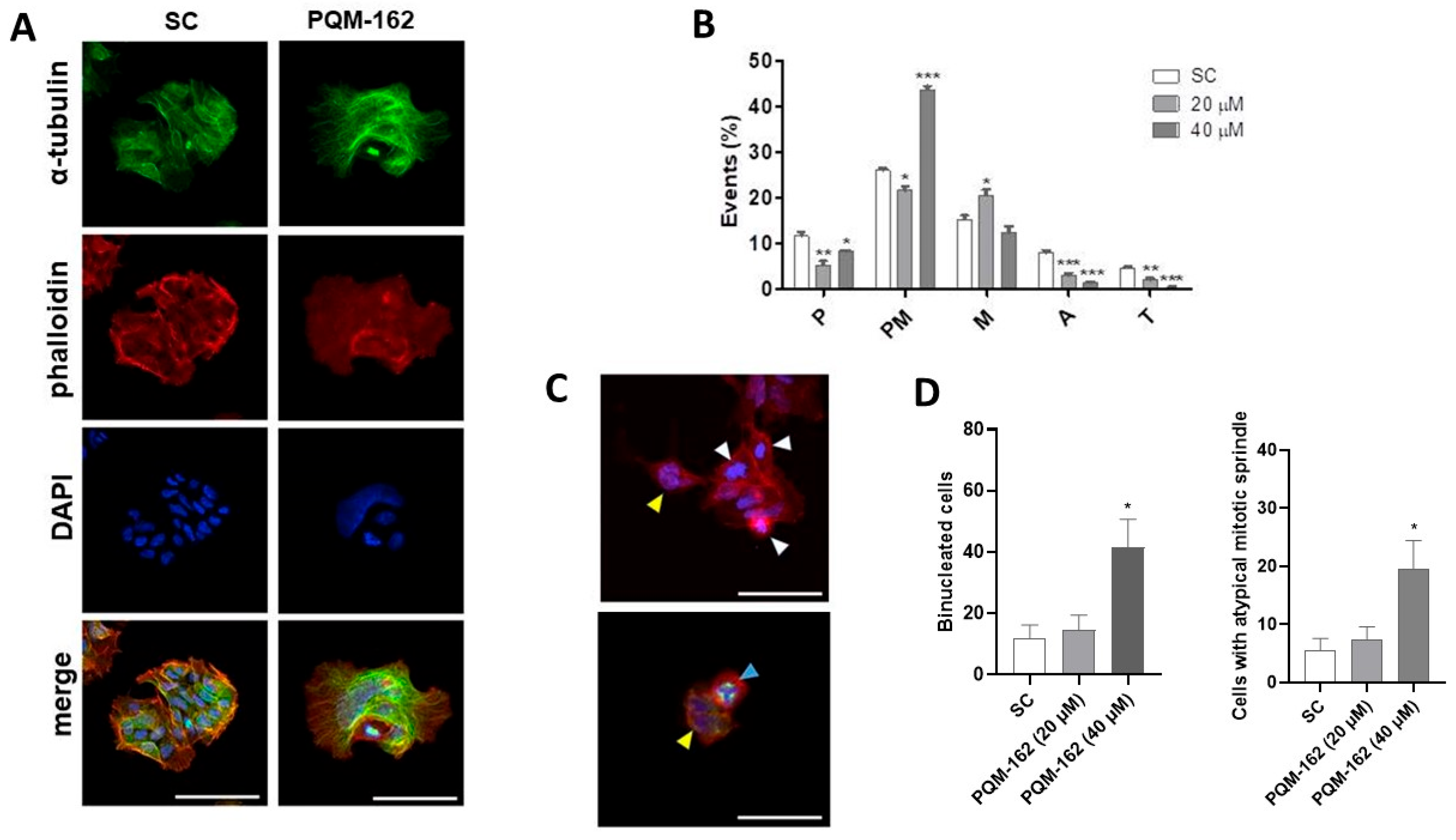 Antioxidants 14 01367 g007