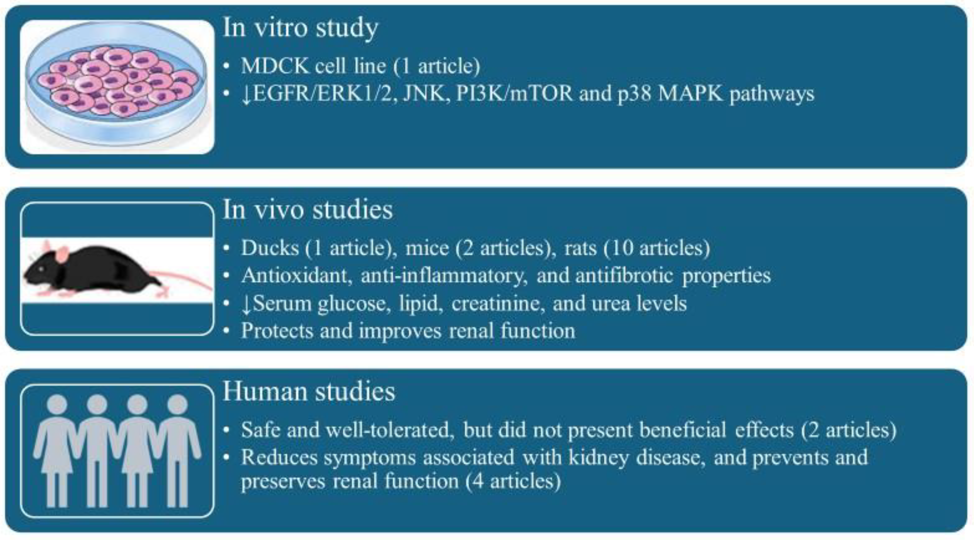 Antioxidants 14 01369 g002