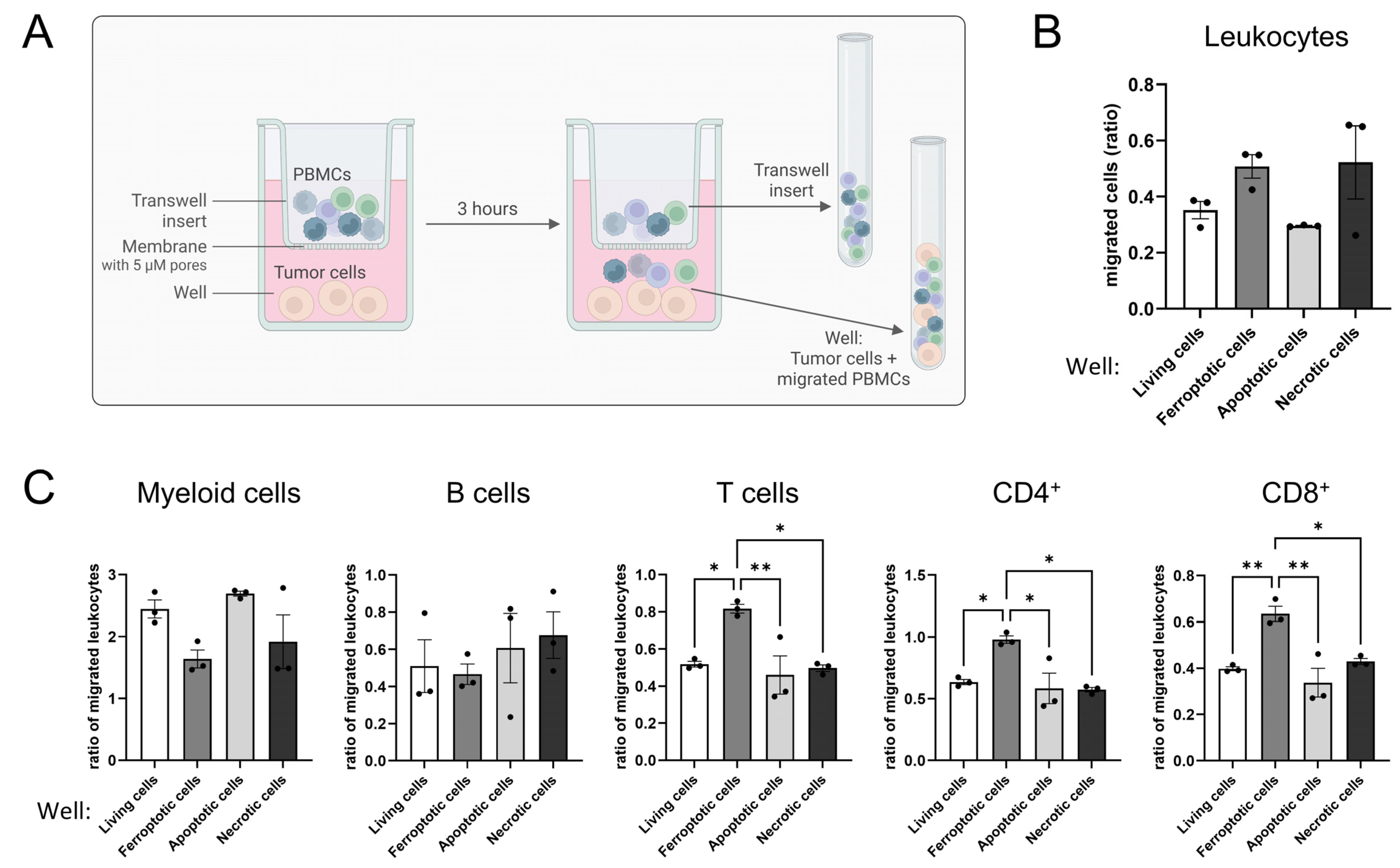 Antioxidants 14 01373 g003 Antioxidants 14 01373 g003