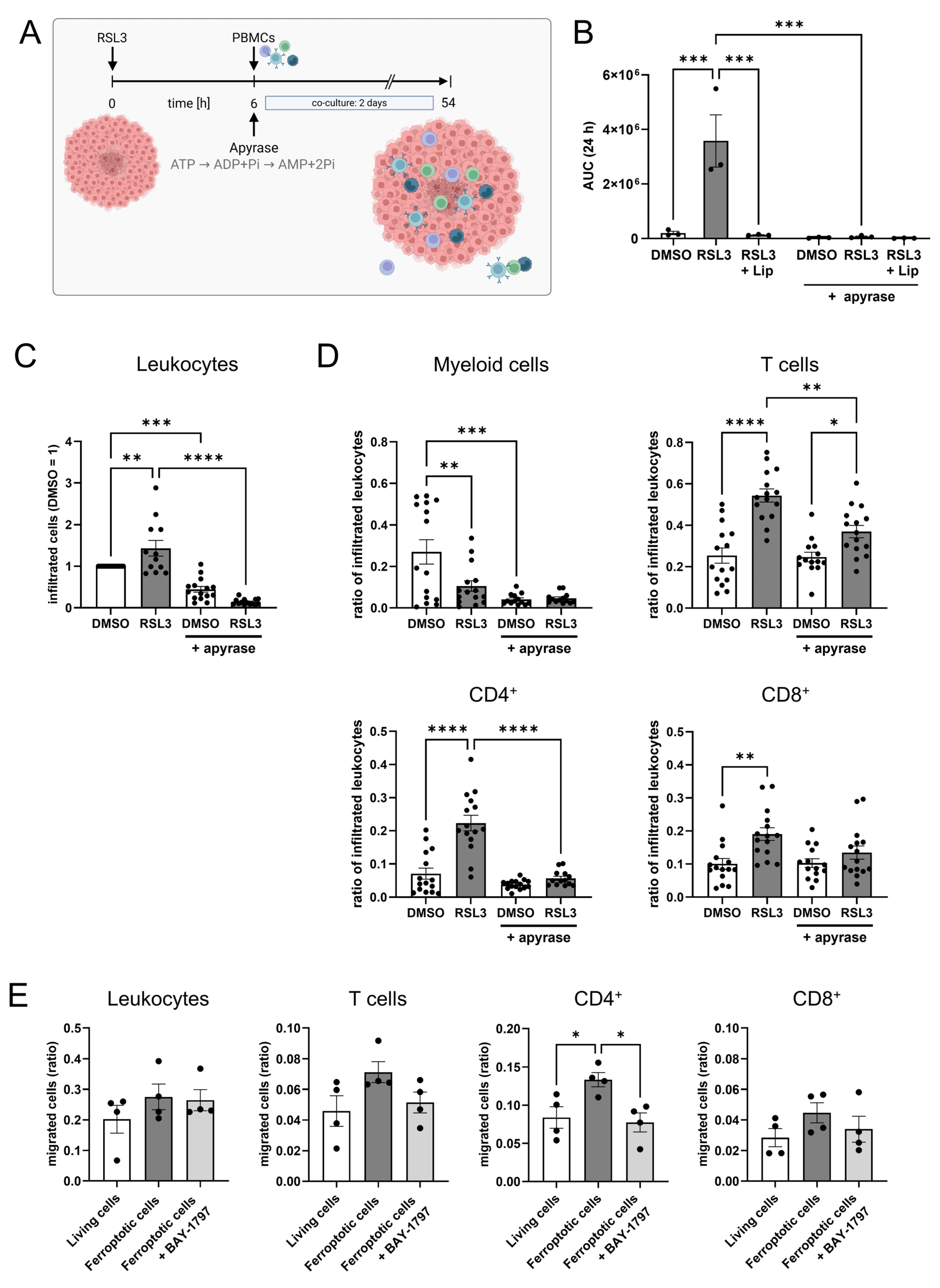 Antioxidants 14 01373 g005 Antioxidants 14 01373 g005