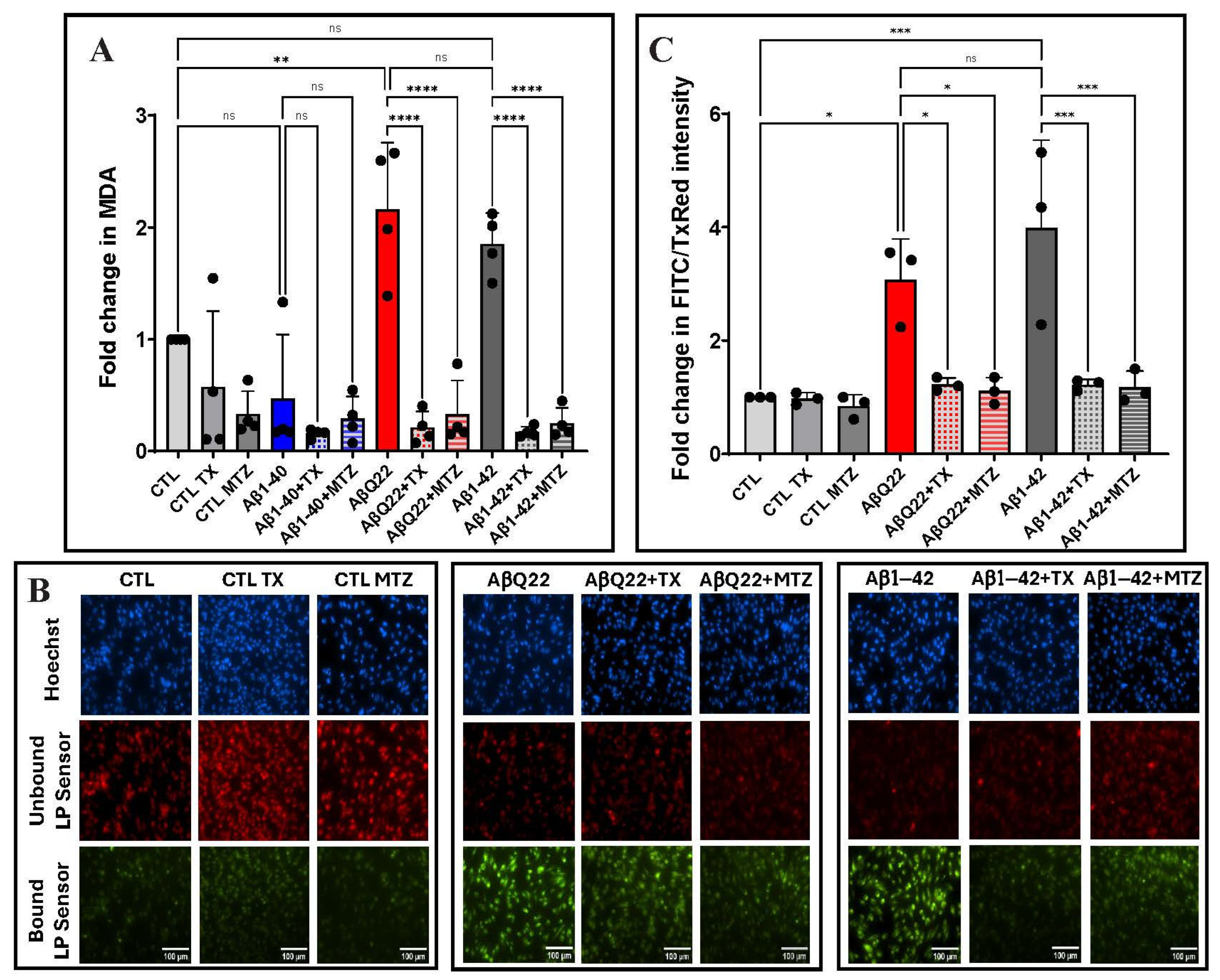 Antioxidants 14 01375 g003