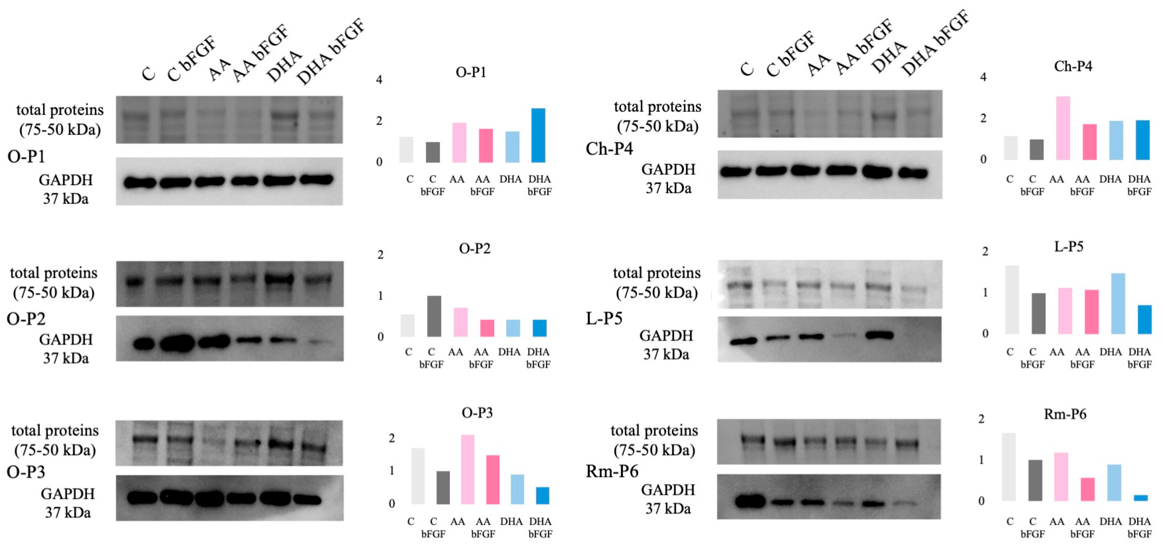 Antioxidants 14 01376 g005