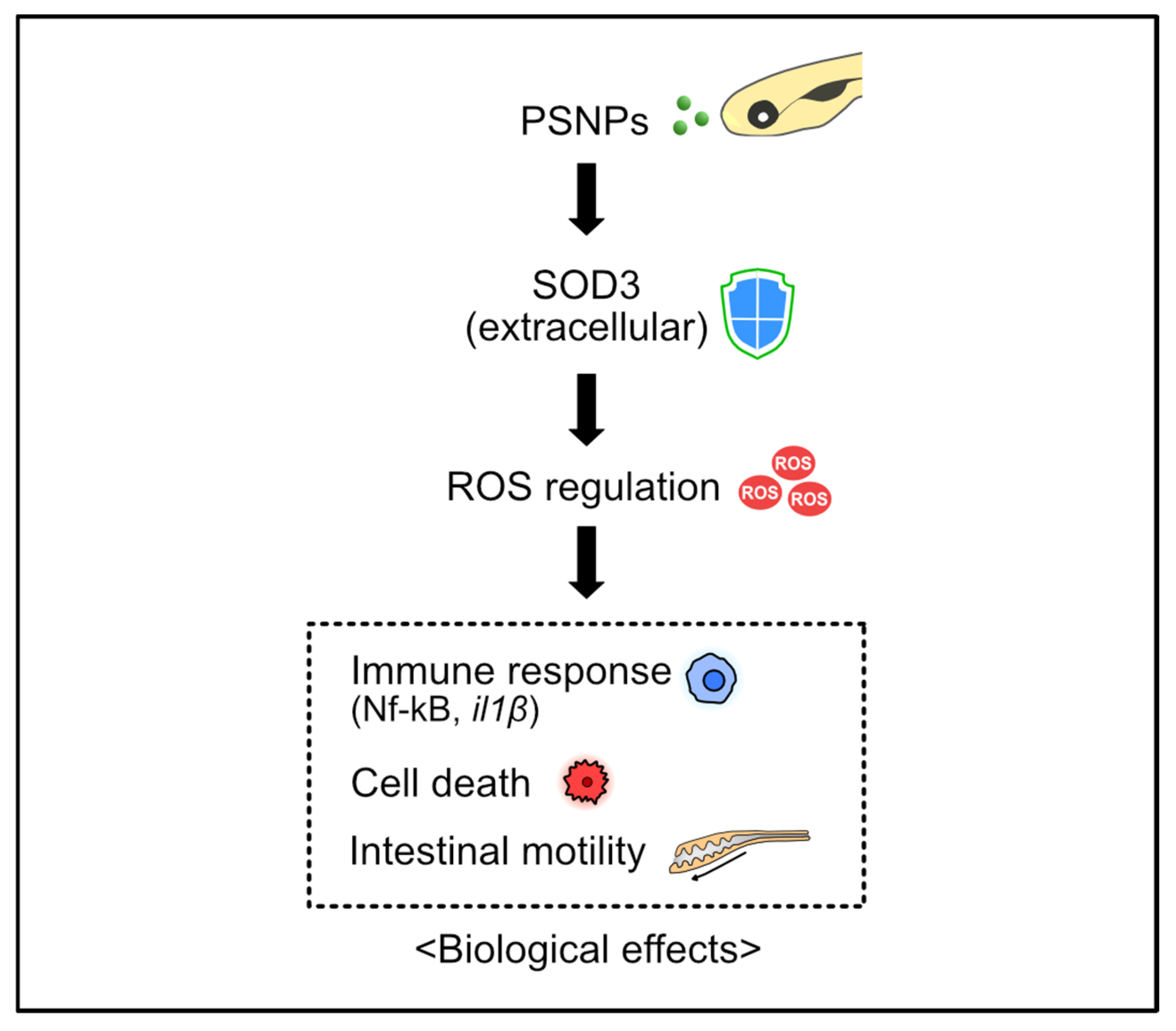 Antioxidants 14 01378 g005