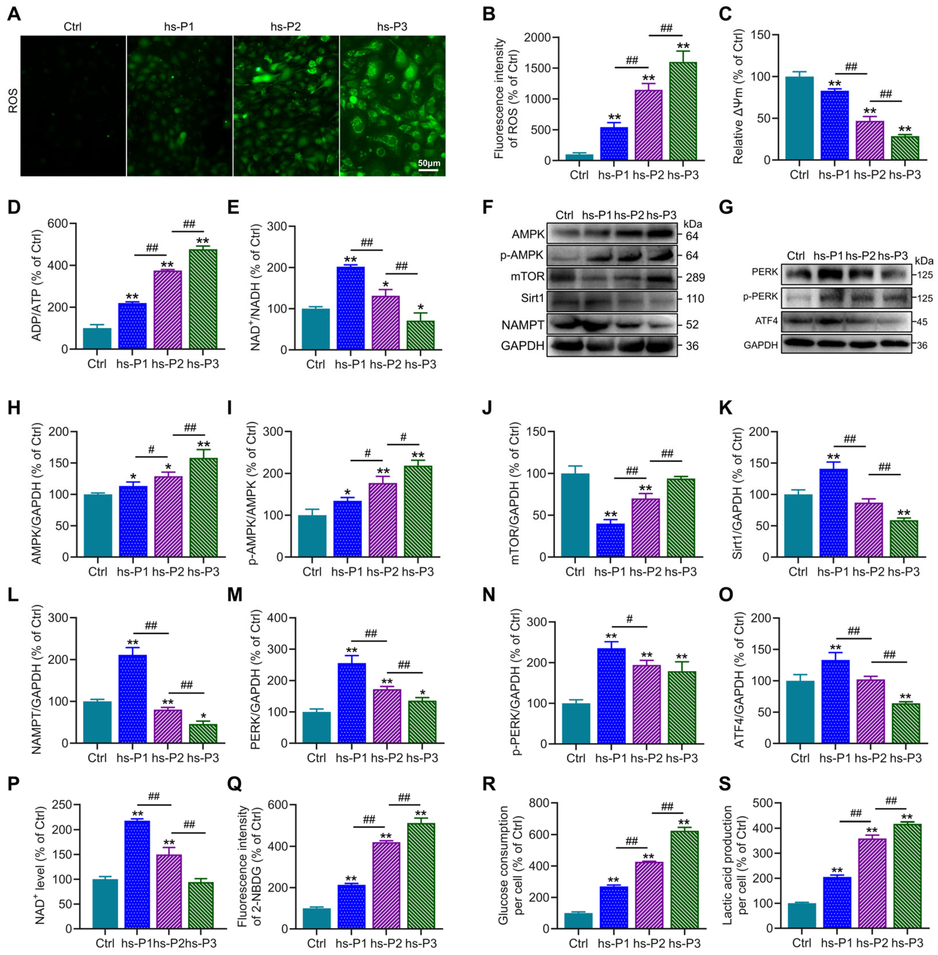 Antioxidants 14 01381 g003