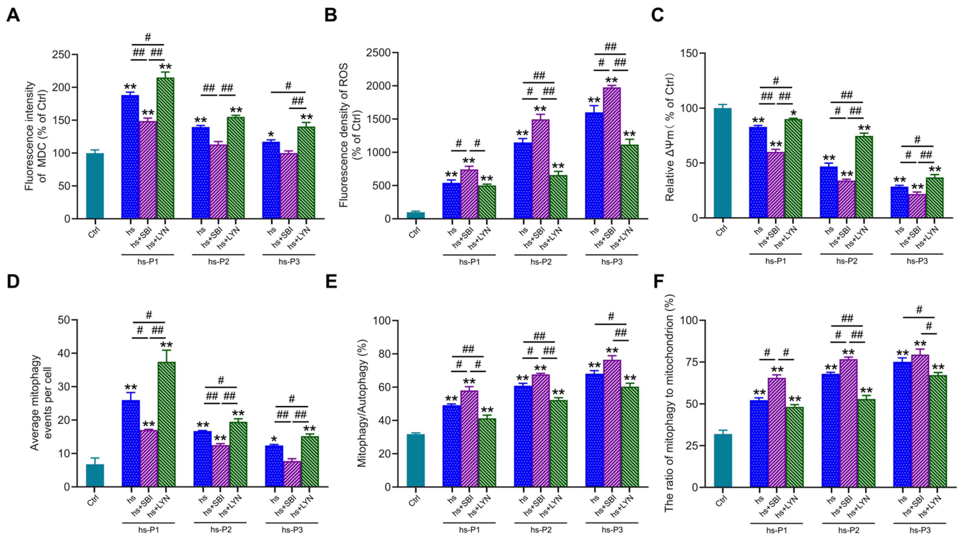 Antioxidants 14 01381 g005